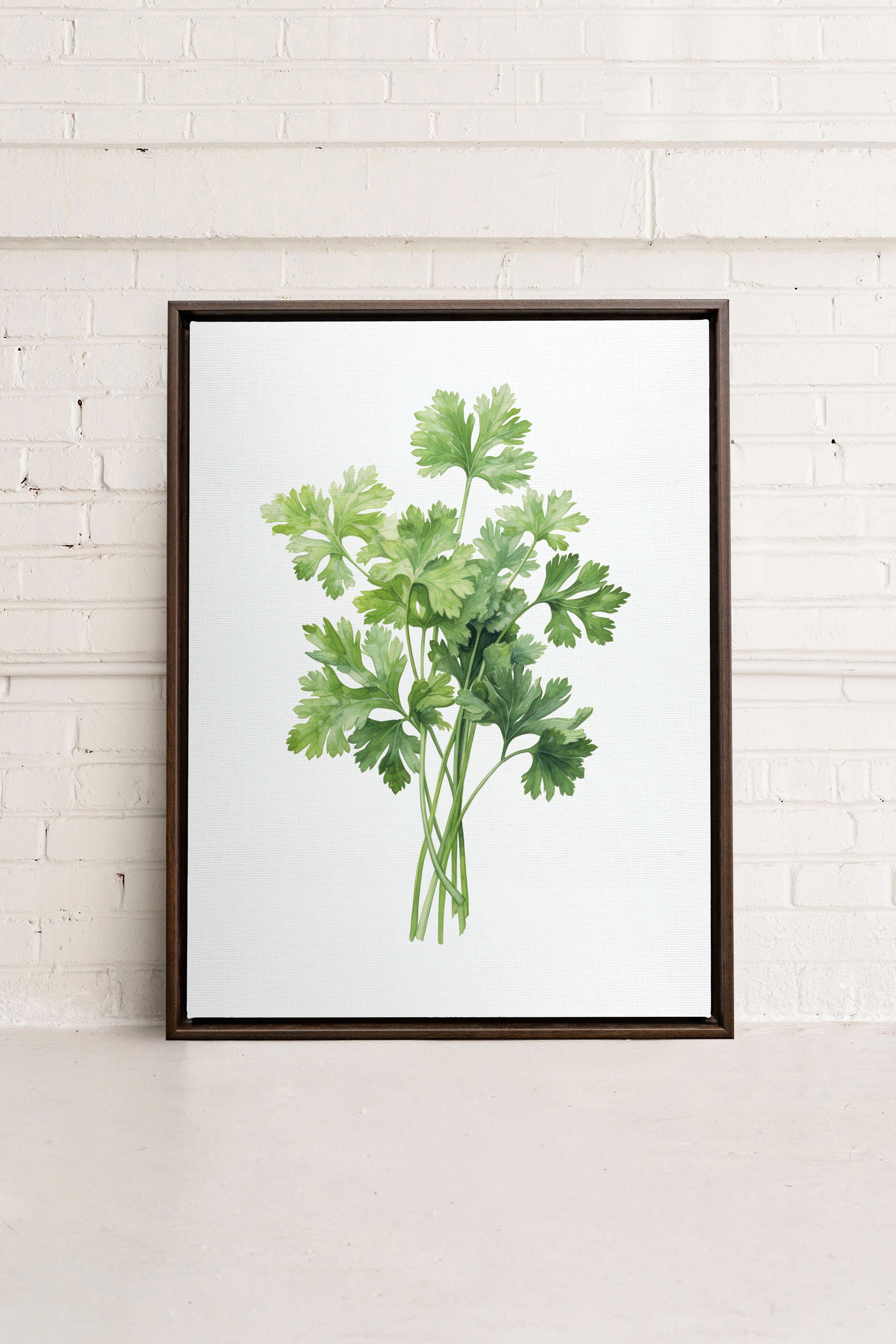 OLEKA CANVAS - CILANTRO, Oeuvre sur toile étirée, encadré Brun Noyer