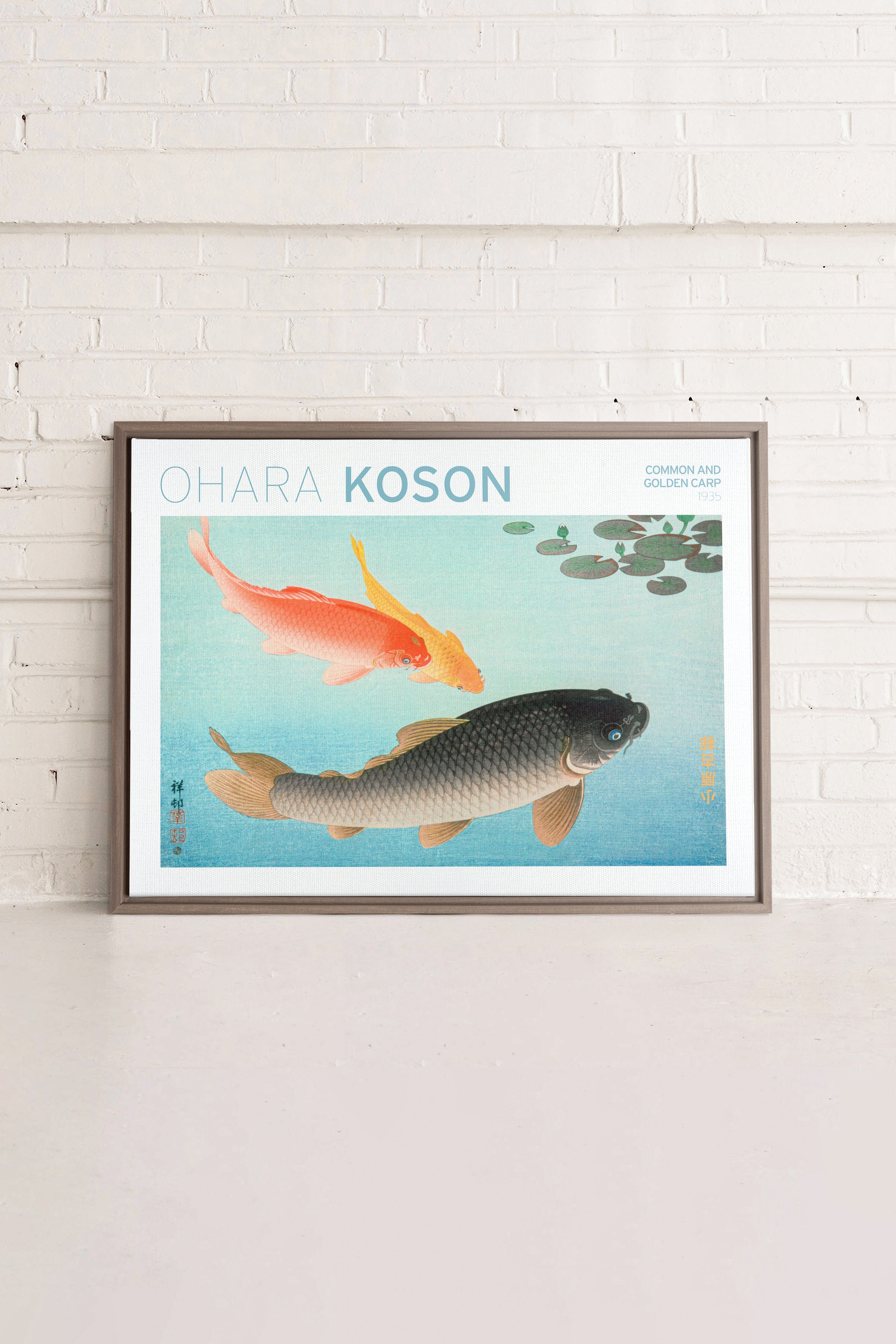 OLEKA CANVAS - COMMON & GOLDEN CARP, Oeuvre sur toile étirée, encadré Brun Chêne