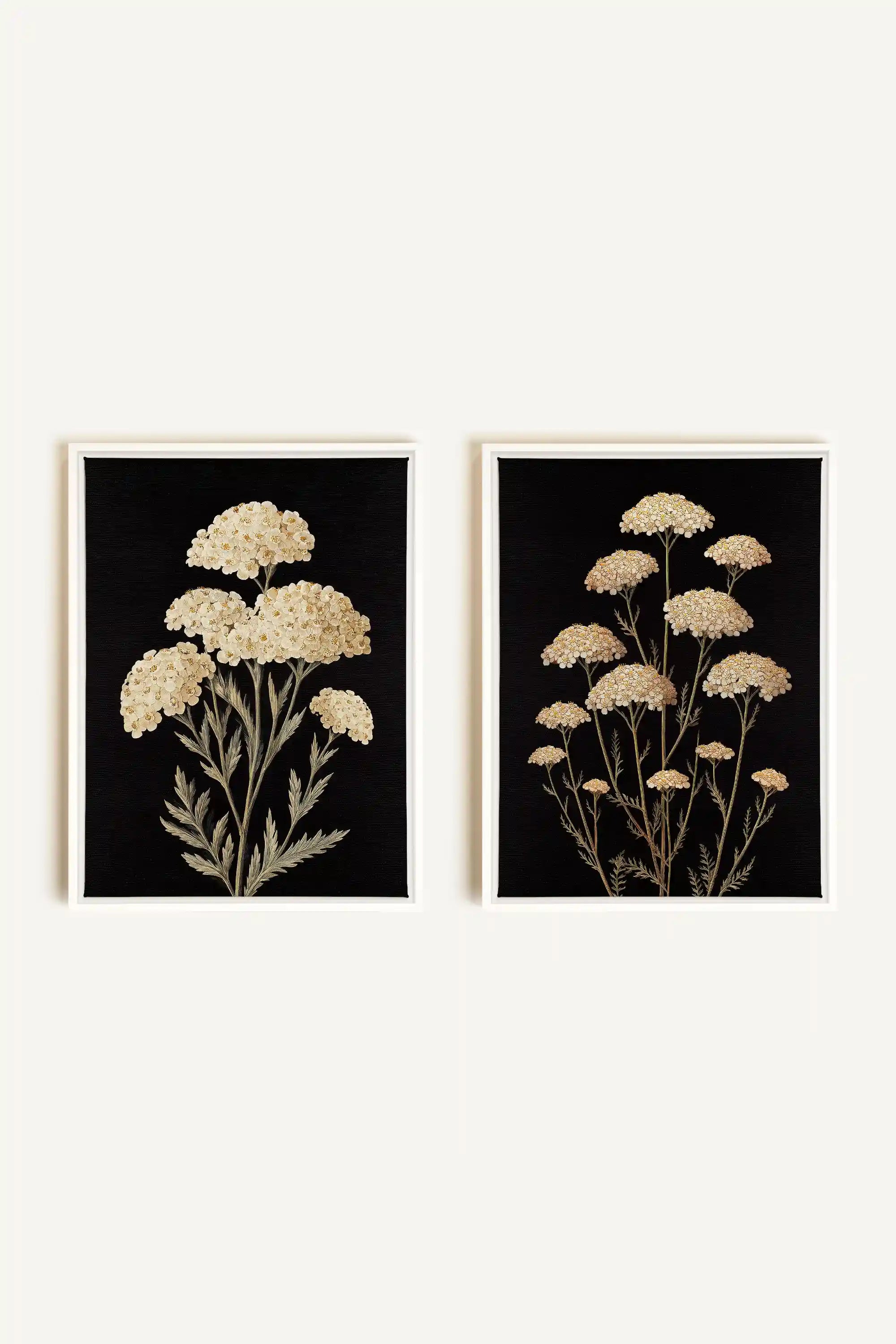 DUO SATINS DES CHAMPS, 2 Works on stretched canvas, framed White