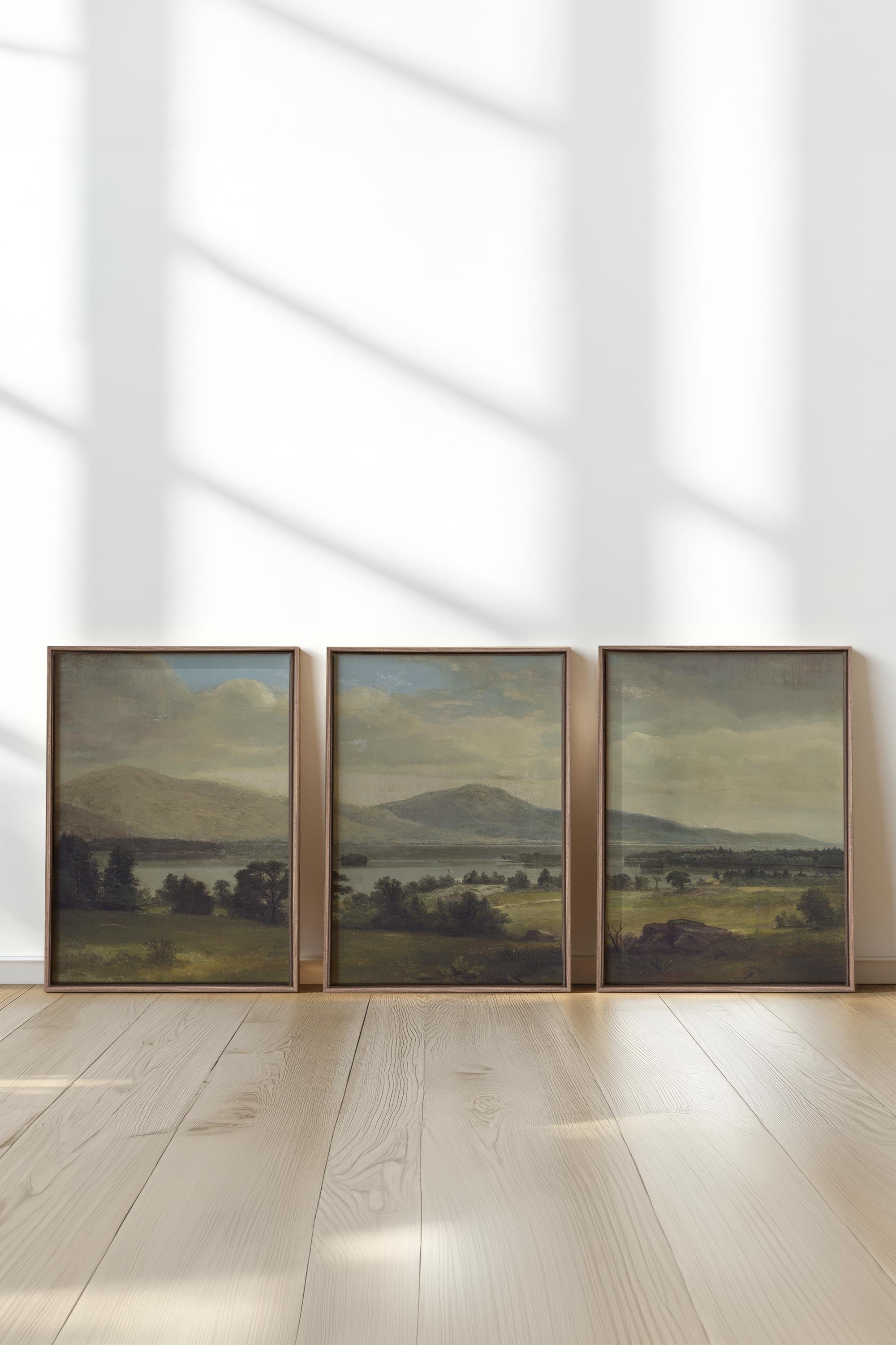 OLEKA CANVAS - TRIO DES SAISONS DOUCES, 3 Oeuvres sur toile étirée, encadré Brun Chêne