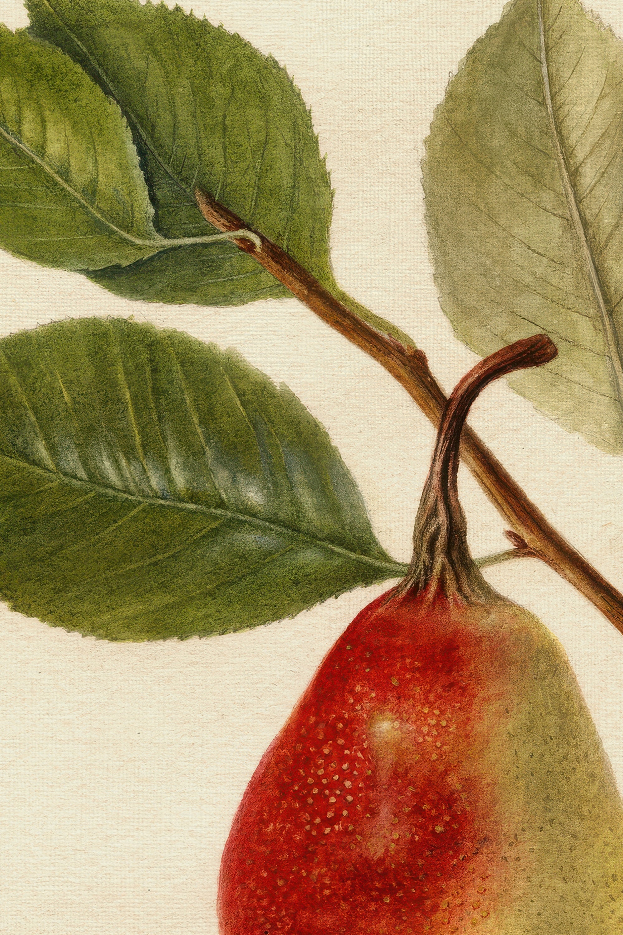 NECTAR DE LA SAISON, Artwork on rigid canvas, framed in Vintage Bronze