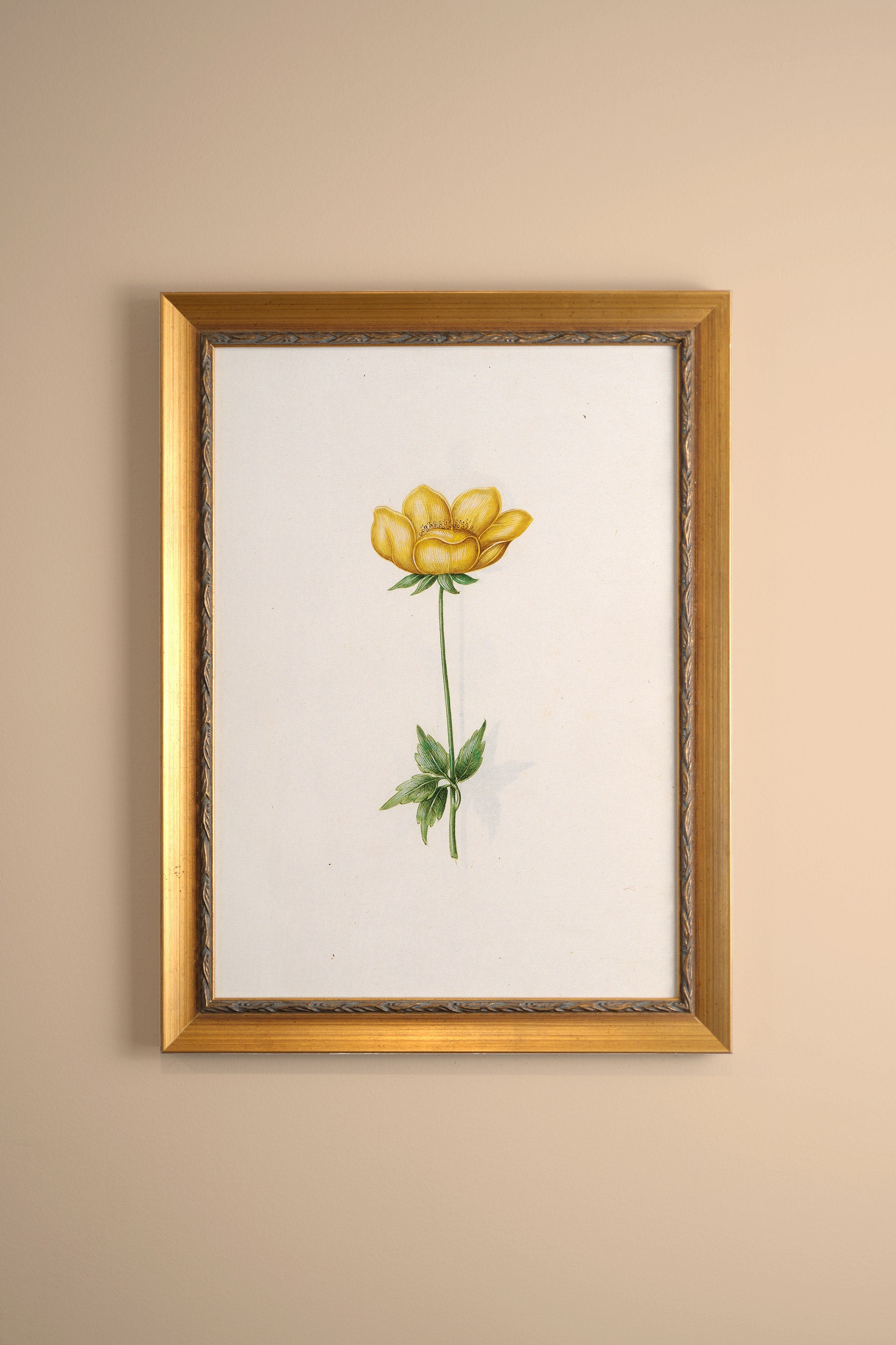 POÉSIE BOTANIQUE, Artwork on rigid canvas, framed in Vintage Gold