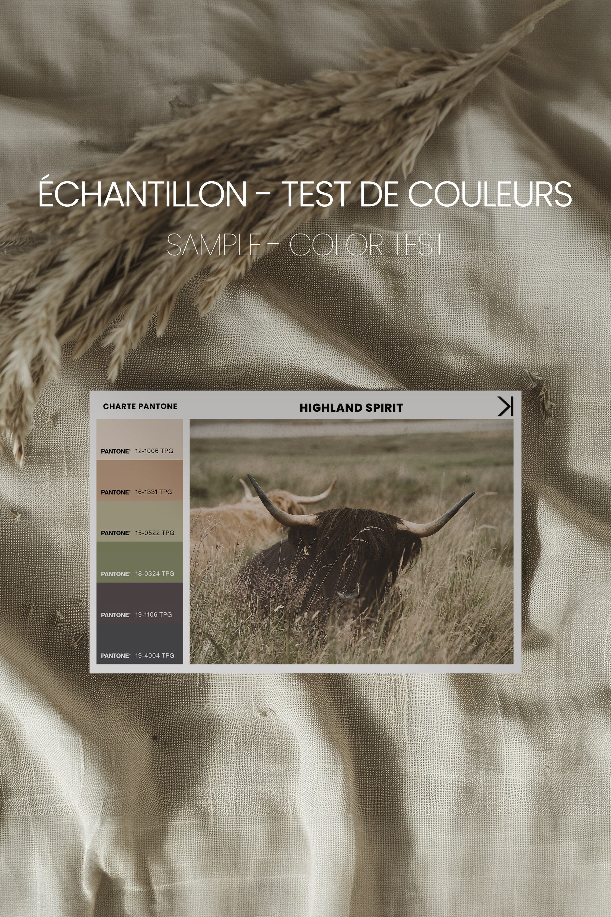 HIGHLAND SPIRIT, Artwork on stretched canvas, framed Natural Light