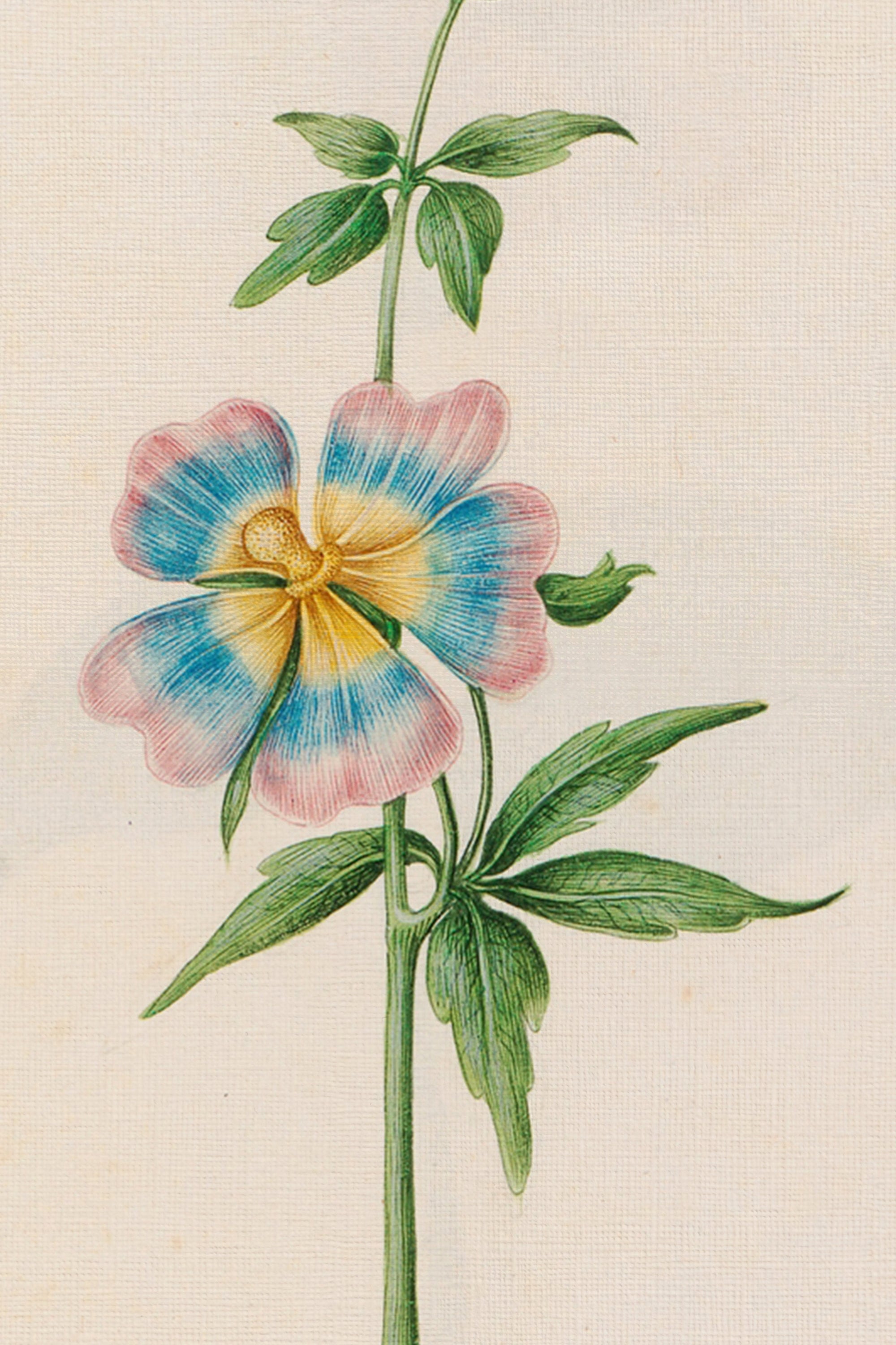 SOUFFLE PASTEL, Oeuvre sur toile rigide, encadré Vintage Or