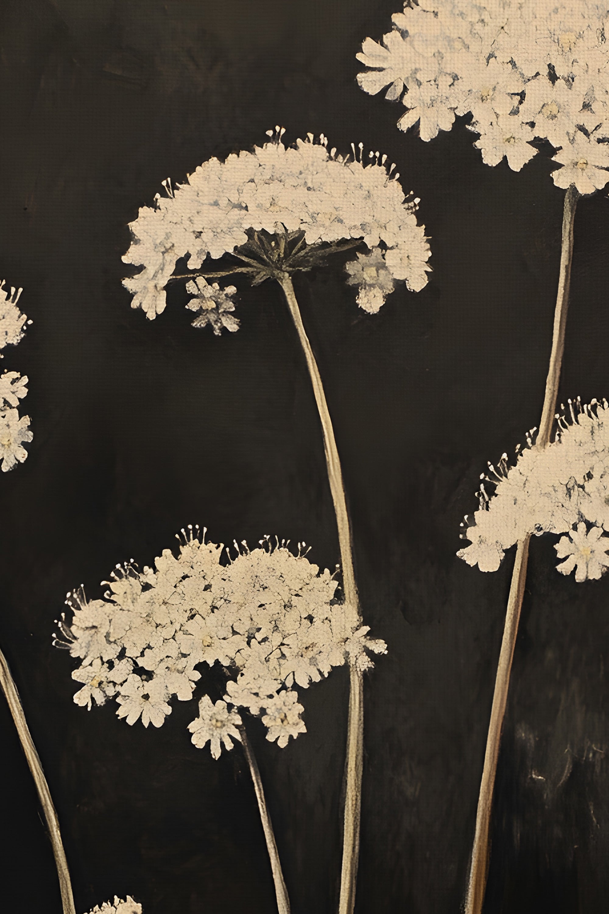 FLEURS DE MINUIT, Oeuvre sur toile rigide, encadré Vintage Bronze