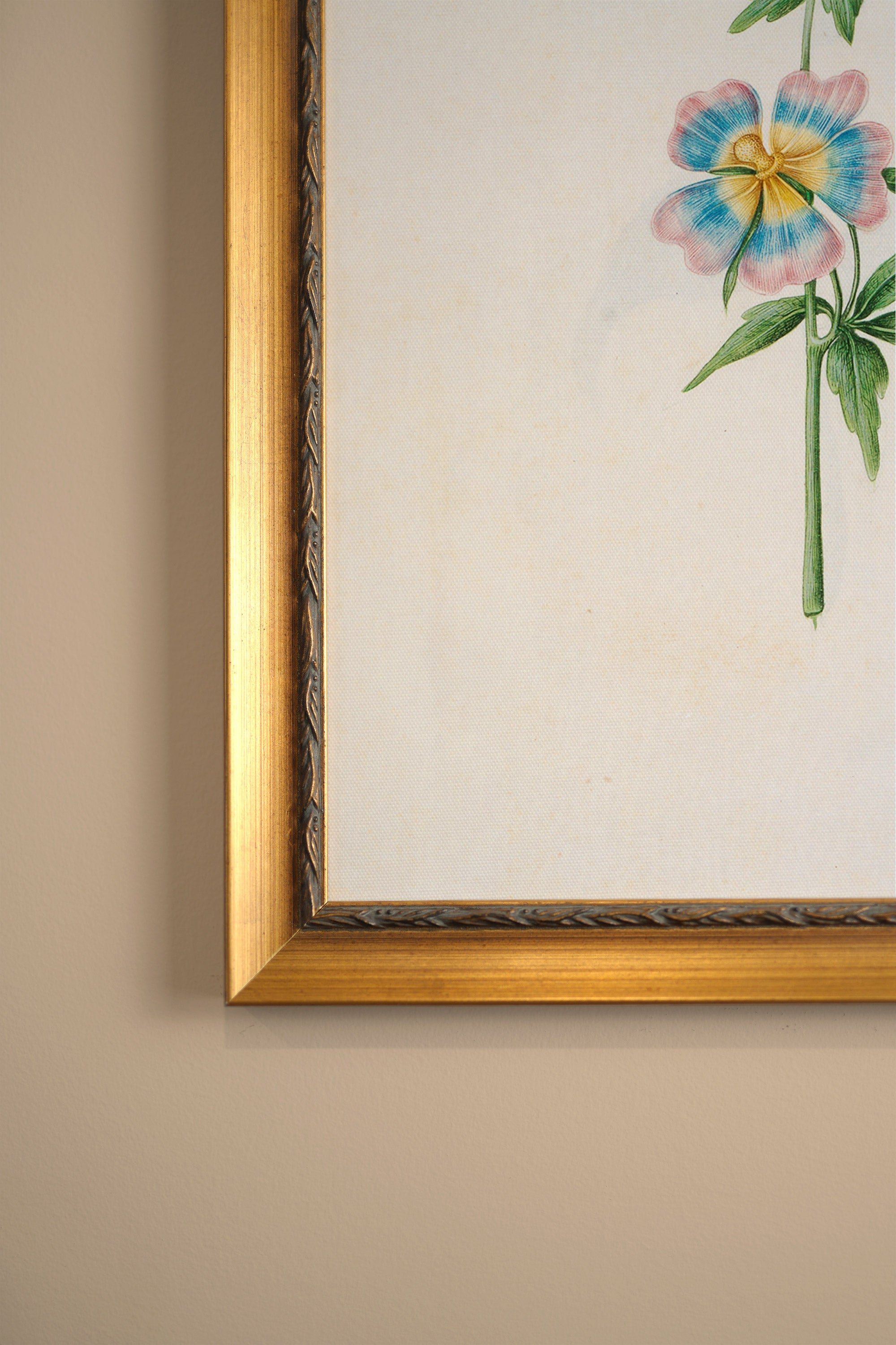 SOUFFLE PASTEL, Oeuvre sur toile rigide, encadré Vintage Or