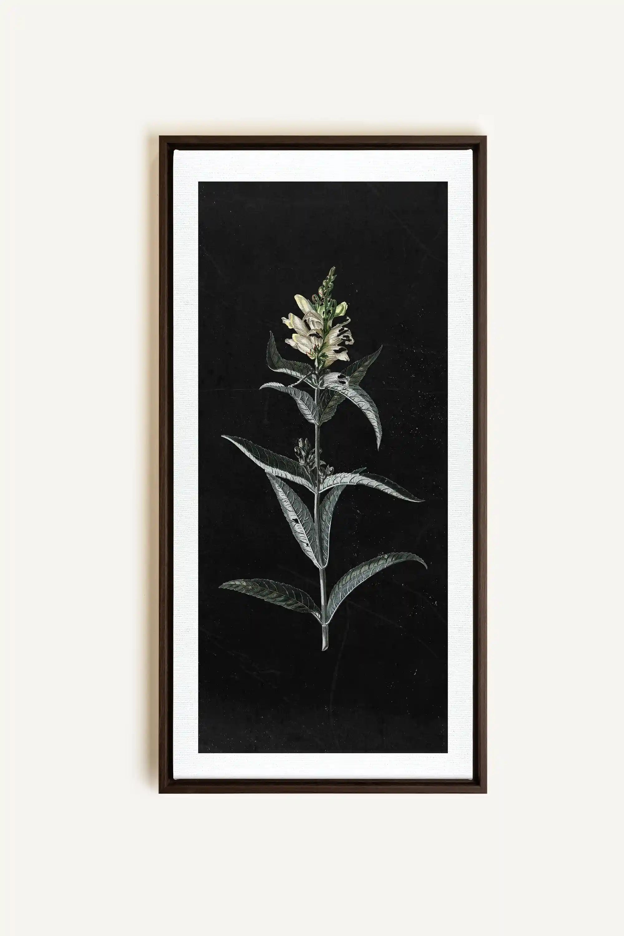 GUARDIAN BLOOM, Oeuvre sur toile étirée, encadré Brun Noyer