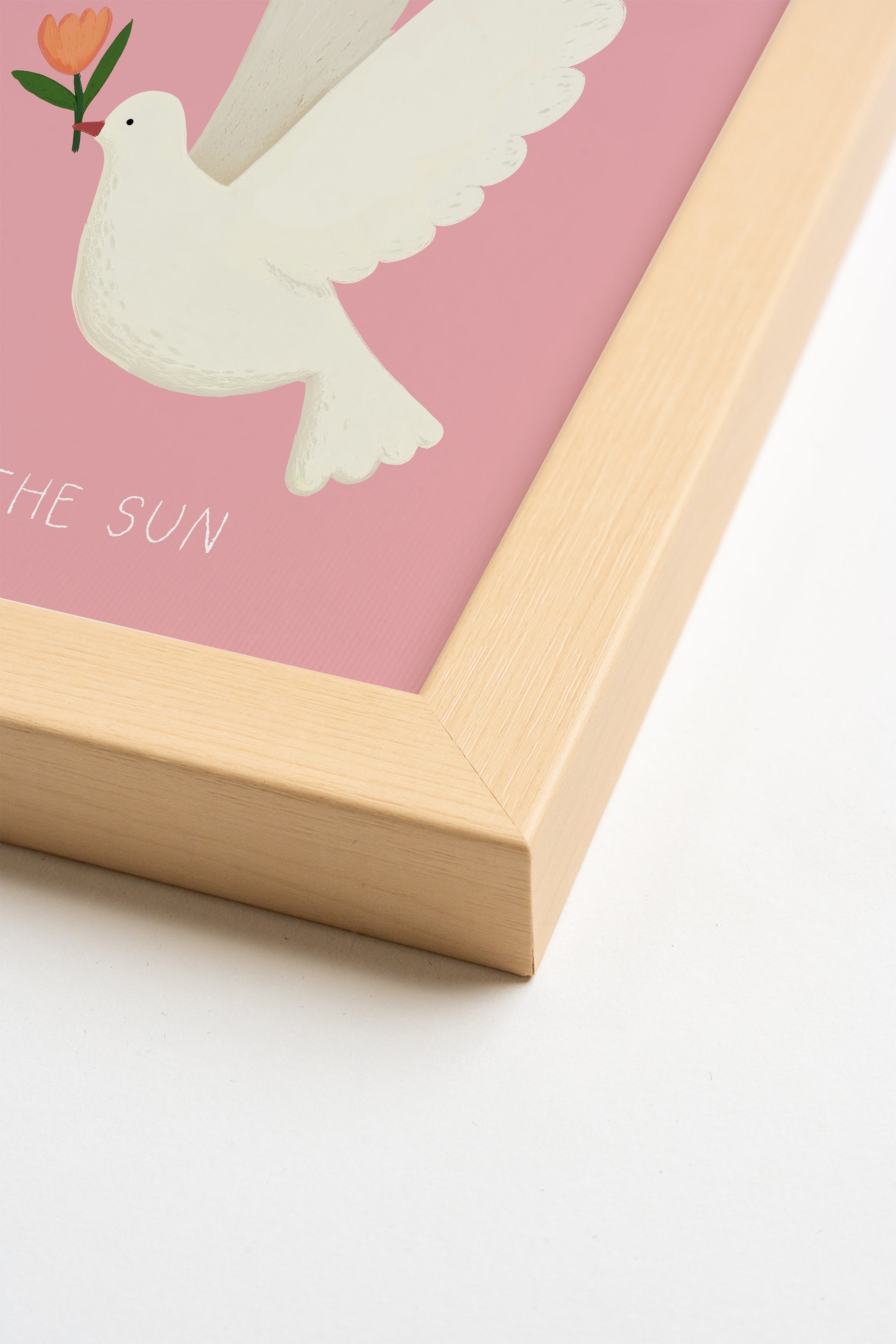 COLOMBE DU SOLEIL, Artwork on rigid canvas, framed in Natural Light