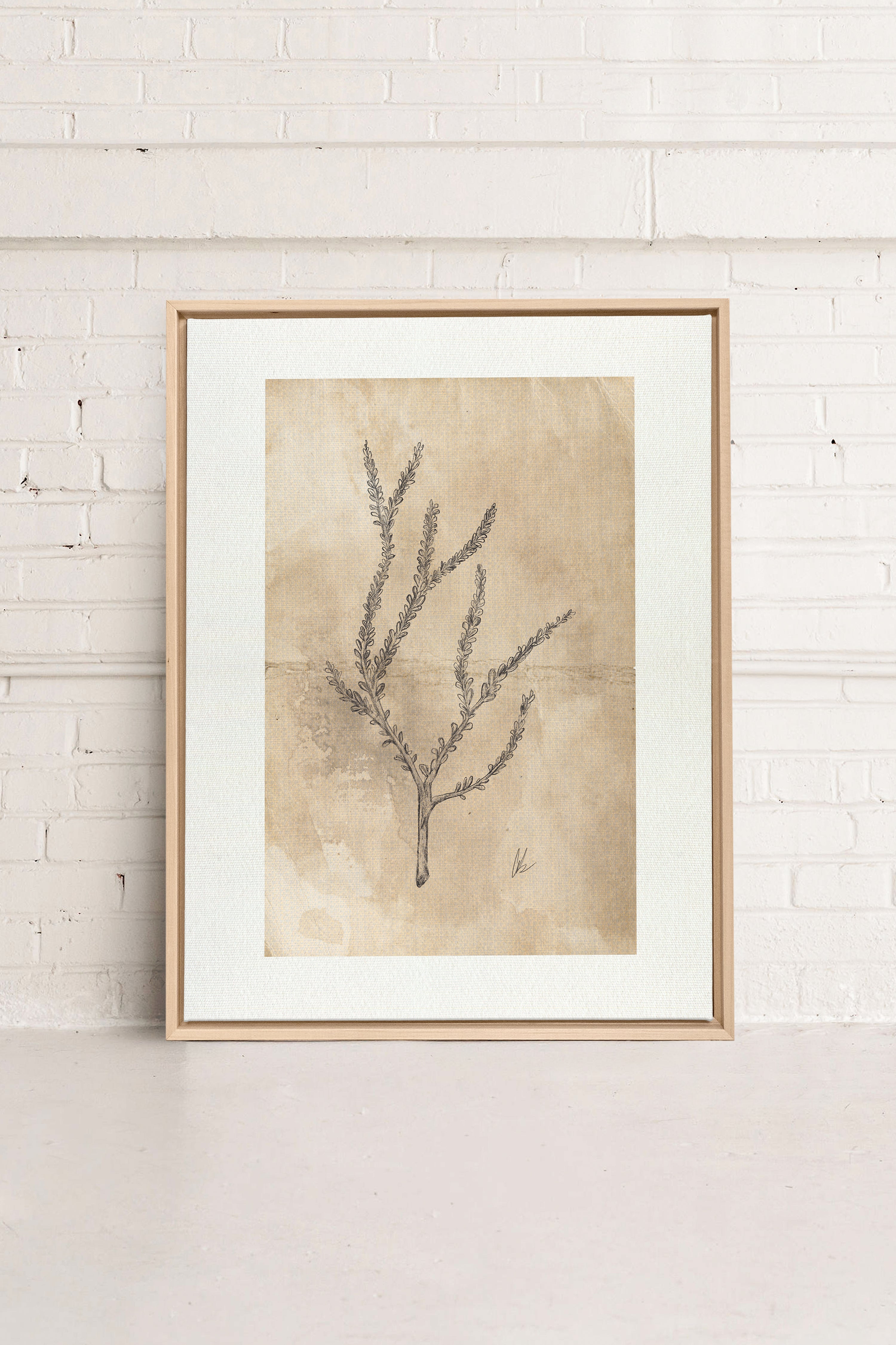 BLOOMING FLOWER I, Oeuvre sur toile étirée, encadré Naturel Clair