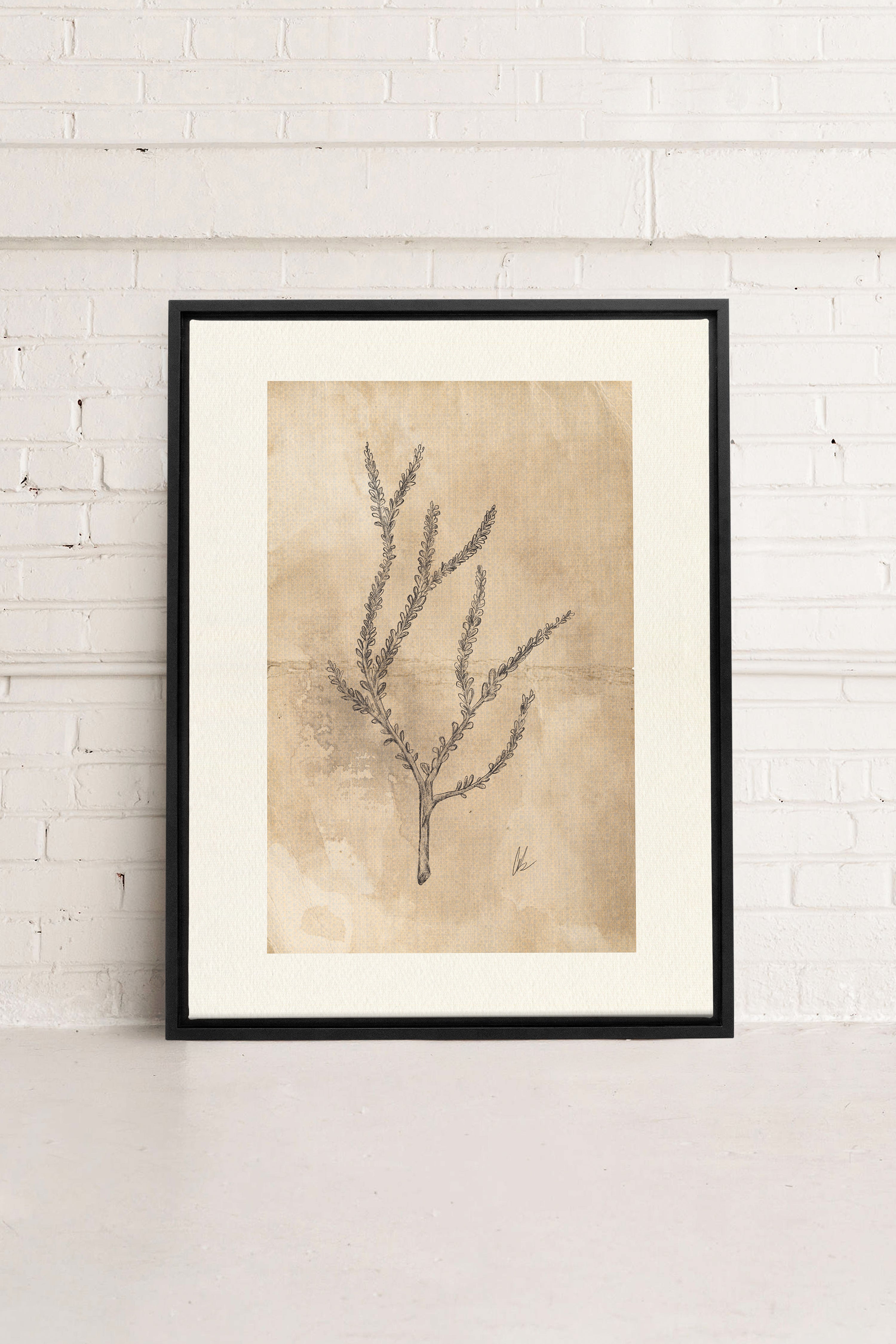 BLOOMING FLOWER I, Oeuvre sur toile étirée, encadré Noir