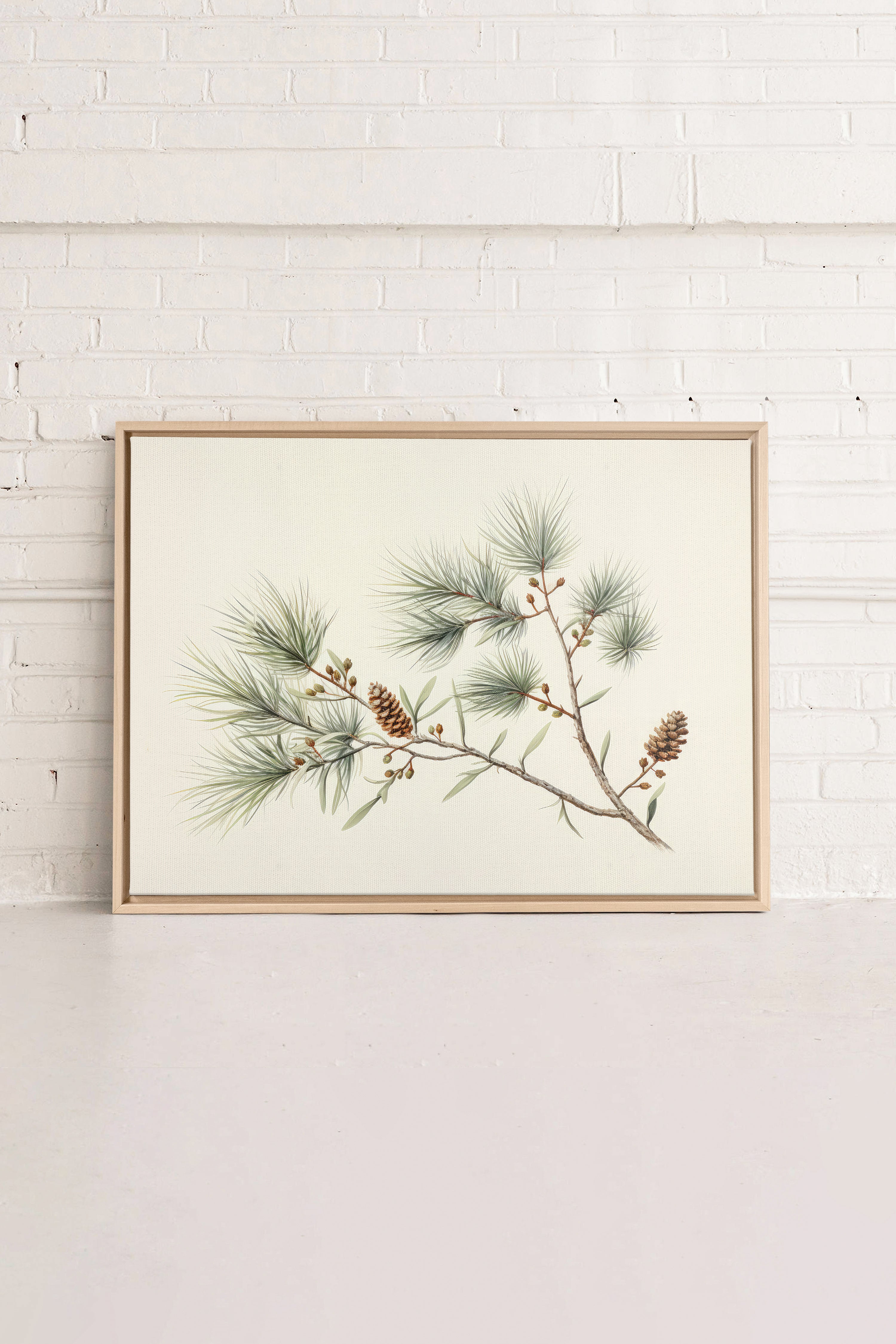 Conifer Branch, Artwork on stretched canvas, framed Natural Light