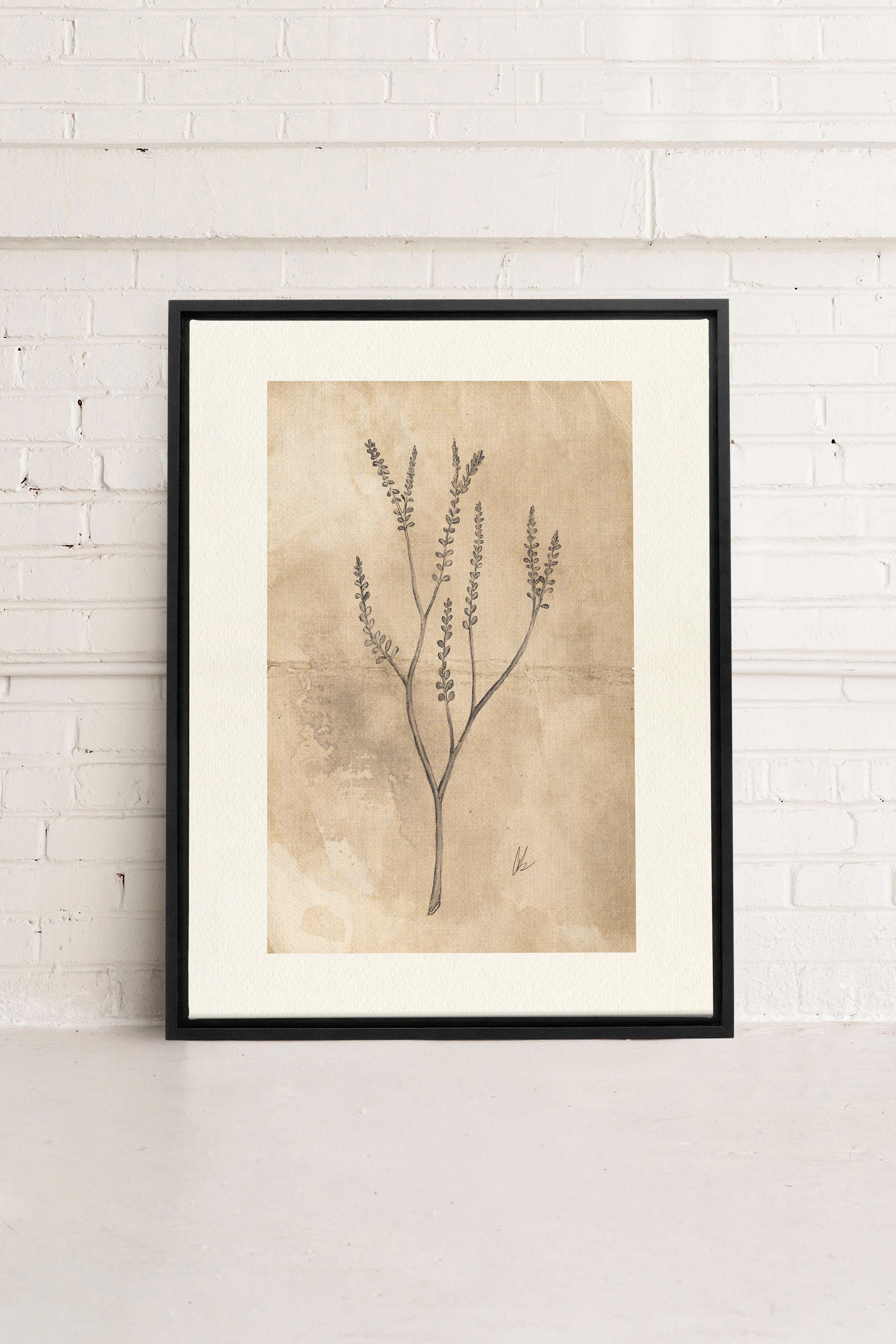 BLOOMING FLOWER II, Oeuvre sur toile étirée, encadré Noir