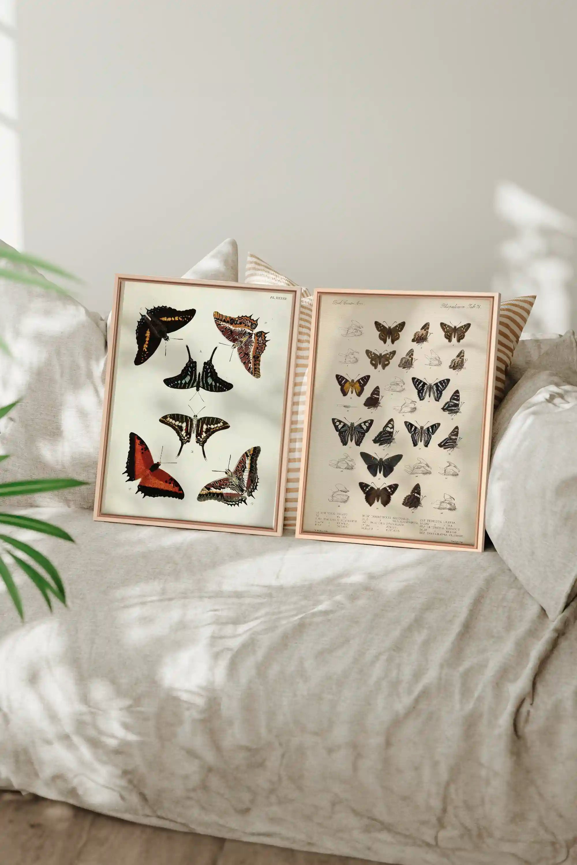 DUO BOTANICAL TREASURE, 2 Works on stretched canvas, framed Naturel Clair