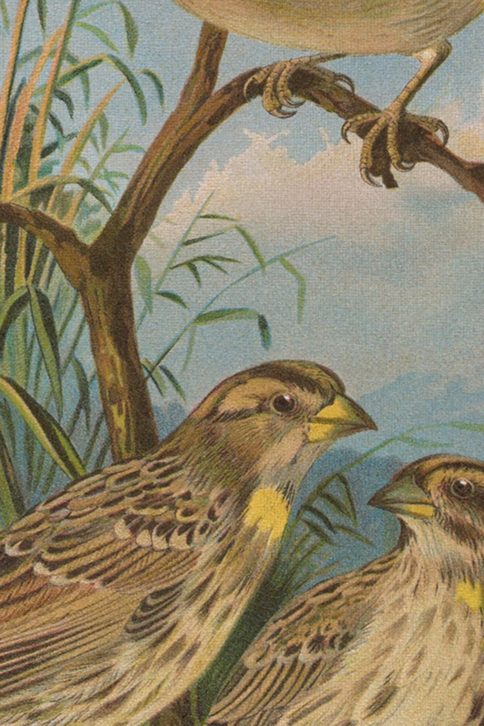 CHANT DES ROSEAUX, Oeuvre sur toile rigide, encadré Vintage Bronze