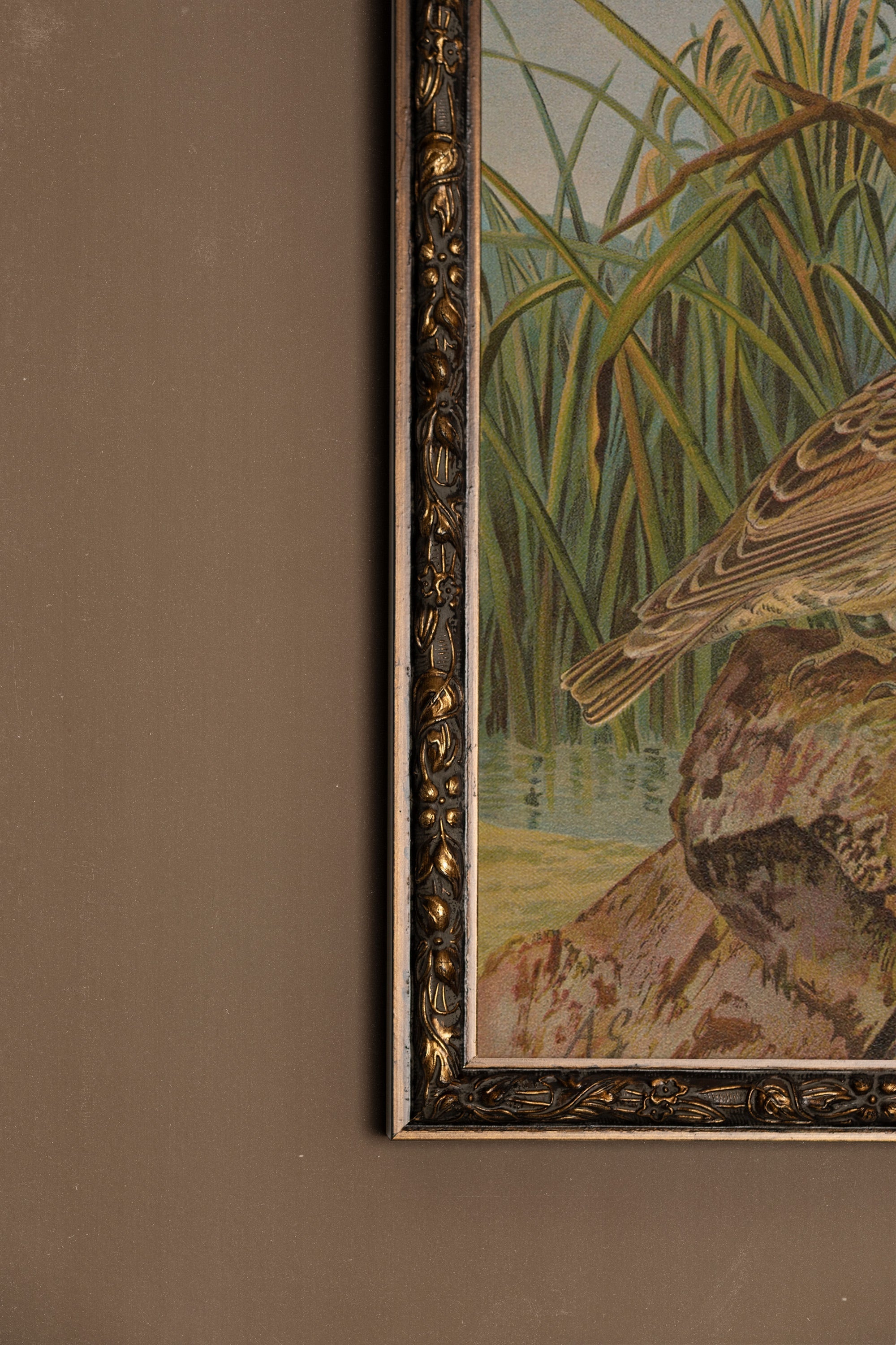 CHANT DES ROSEAUX, Oeuvre sur toile rigide, encadré Vintage Bronze