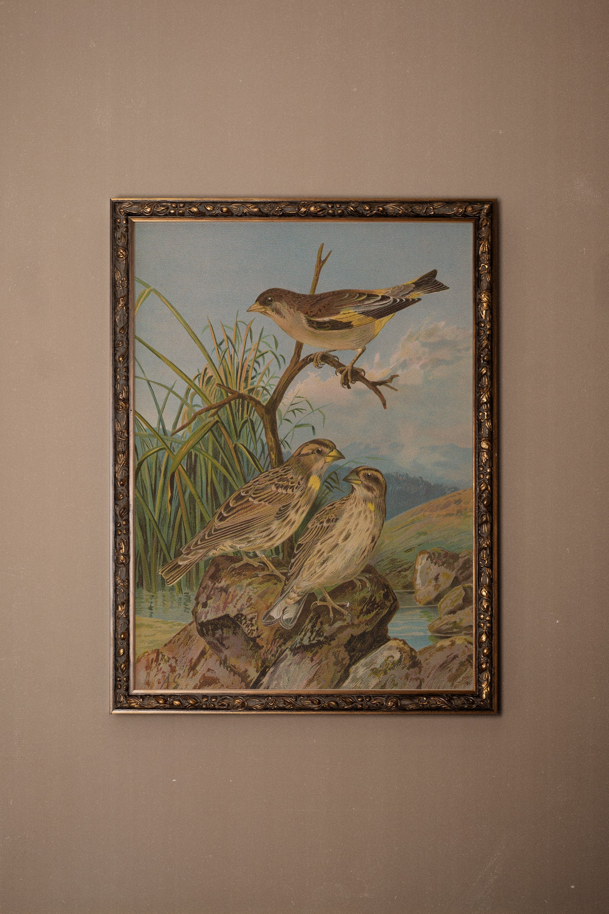 CHANT DES ROSEAUX, Oeuvre sur toile rigide, encadré Vintage Bronze