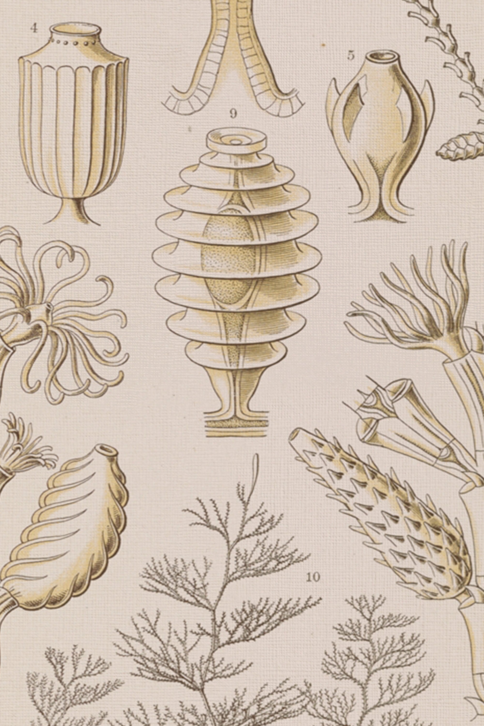 ESSENCE MARINE, Artwork on rigid canvas, framed in Vintage Gold