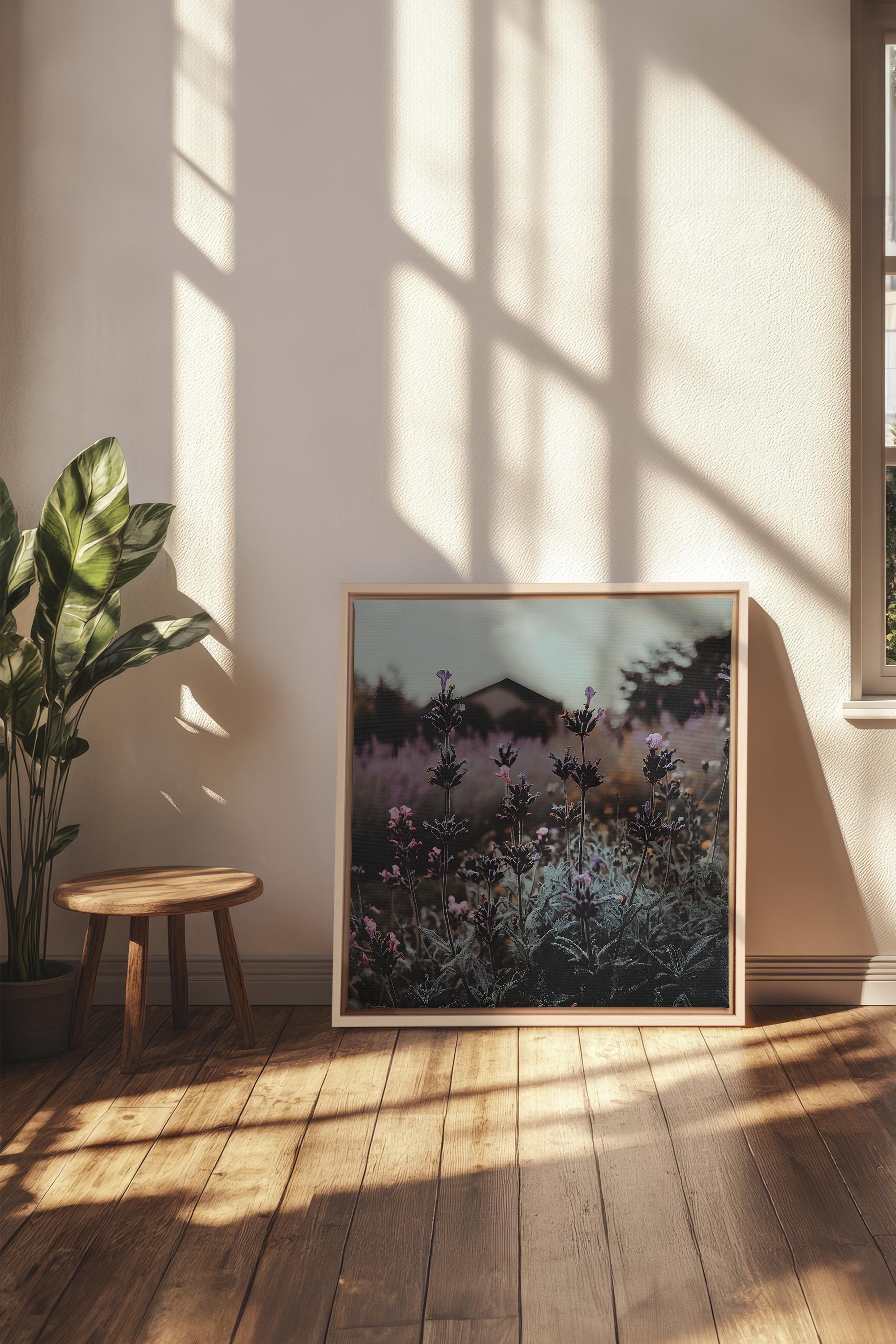 OLEKA CANVAS - SOUFFLE LAVANDE, Oeuvre sur toile étirée, encadré Naturel Clair