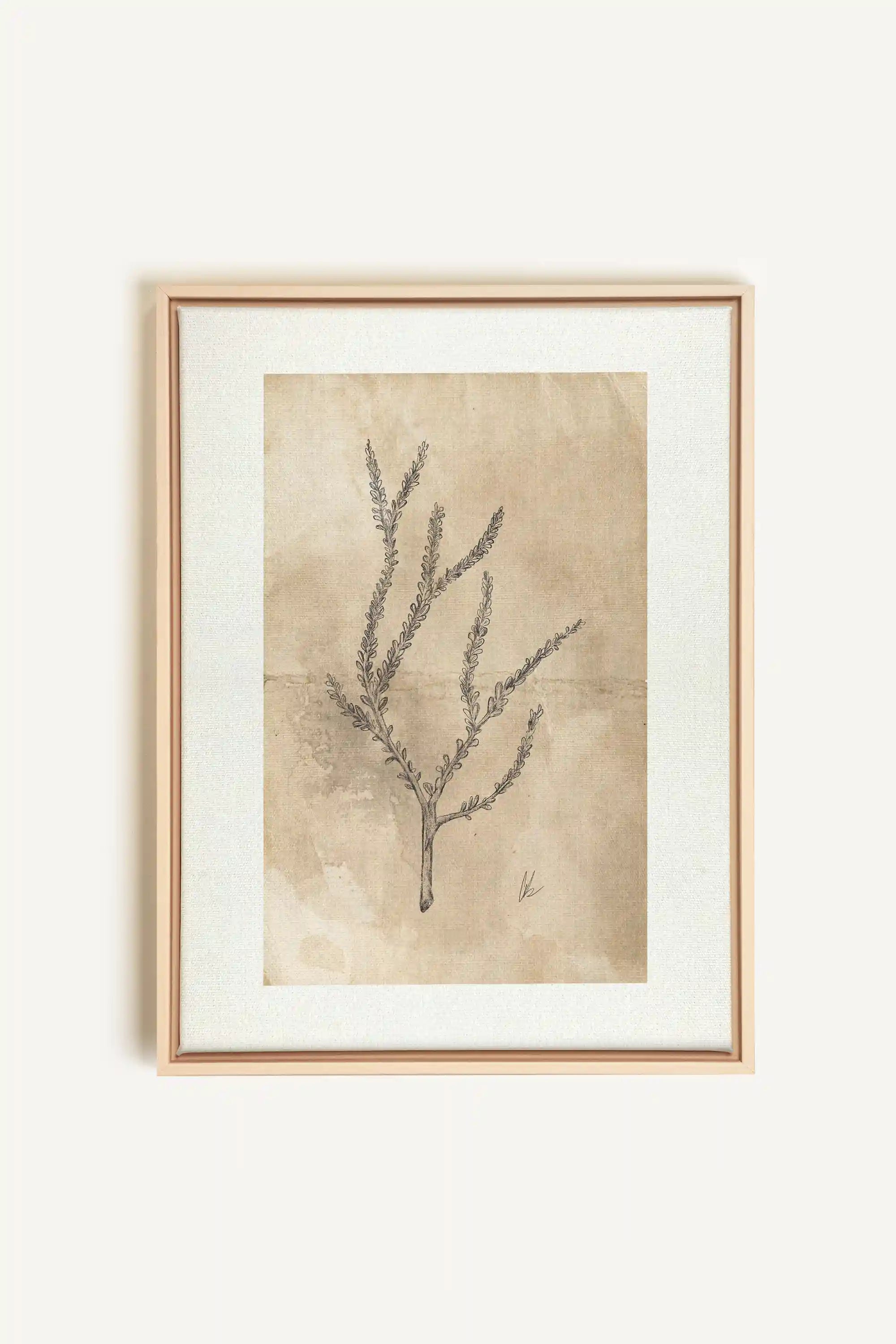 BLOOMING FLOWER I, Oeuvre sur toile étirée, encadré Naturel Clair