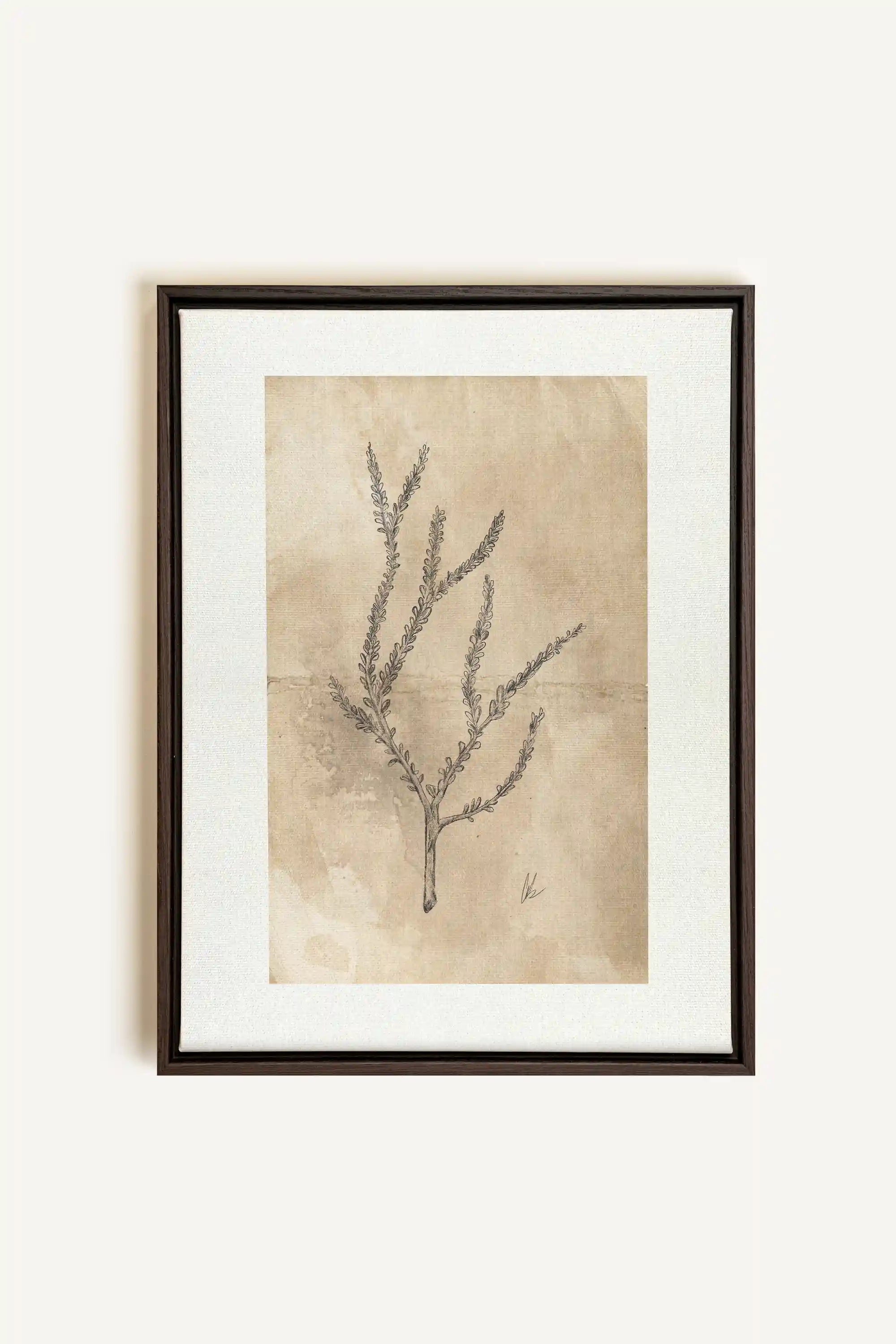 BLOOMING FLOWER I, Artwork on stretched canvas, framed in Walnut Brown