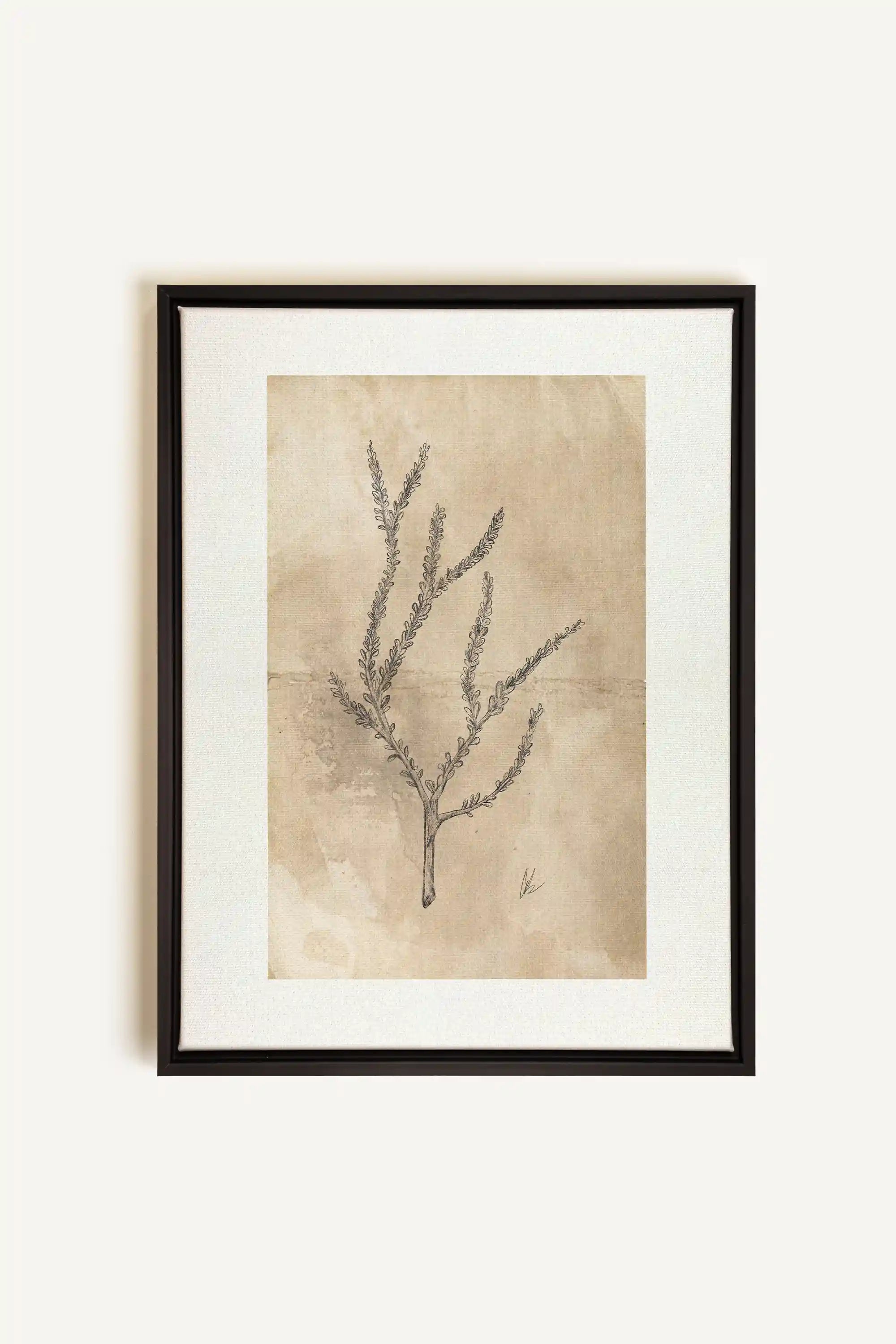 BLOOMING FLOWER I, Oeuvre sur toile étirée, encadré Noir