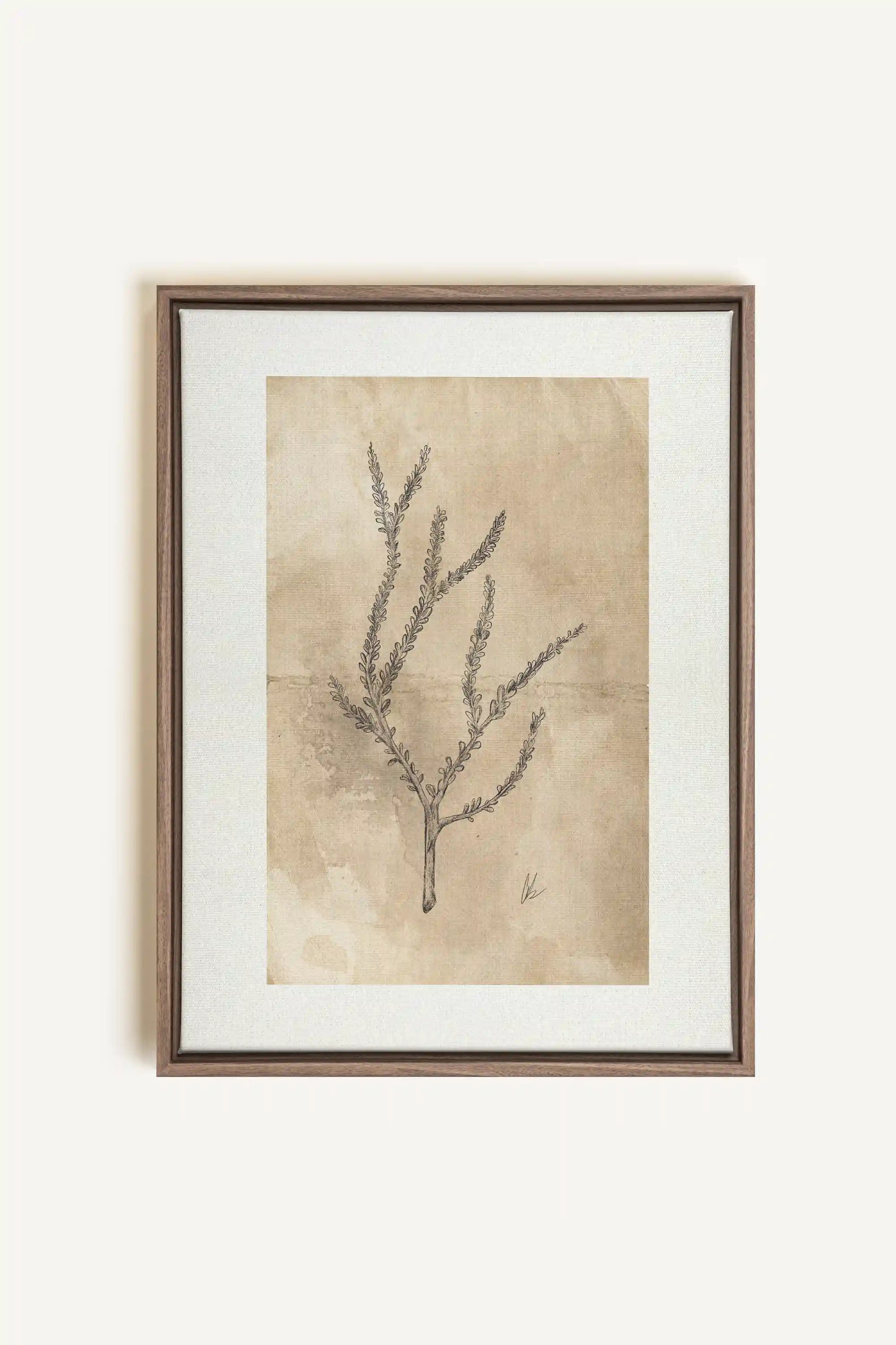 BLOOMING FLOWER I, Artwork on stretched canvas, framed in Brown Oak