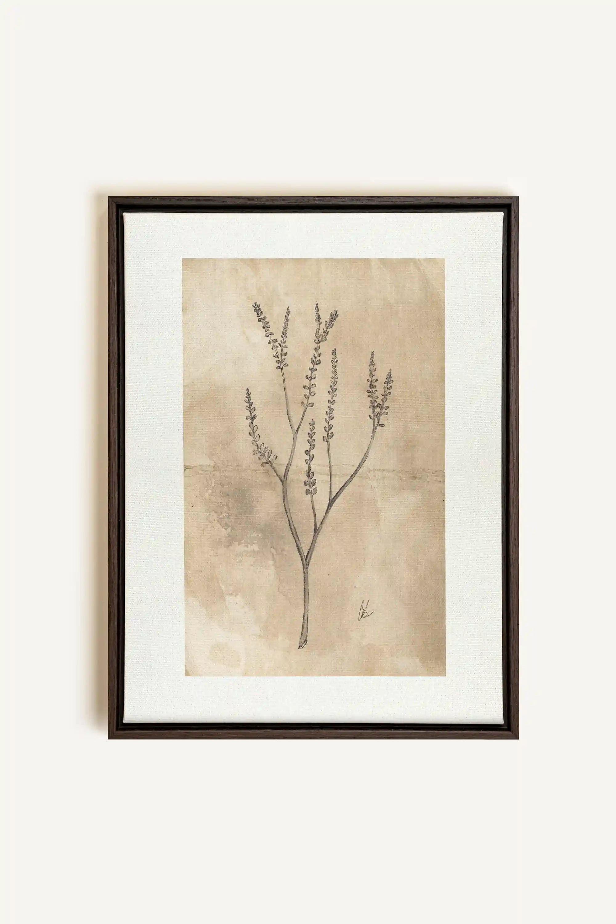 BLOOMING FLOWER II, Artwork on stretched canvas, framed in Walnut Brown