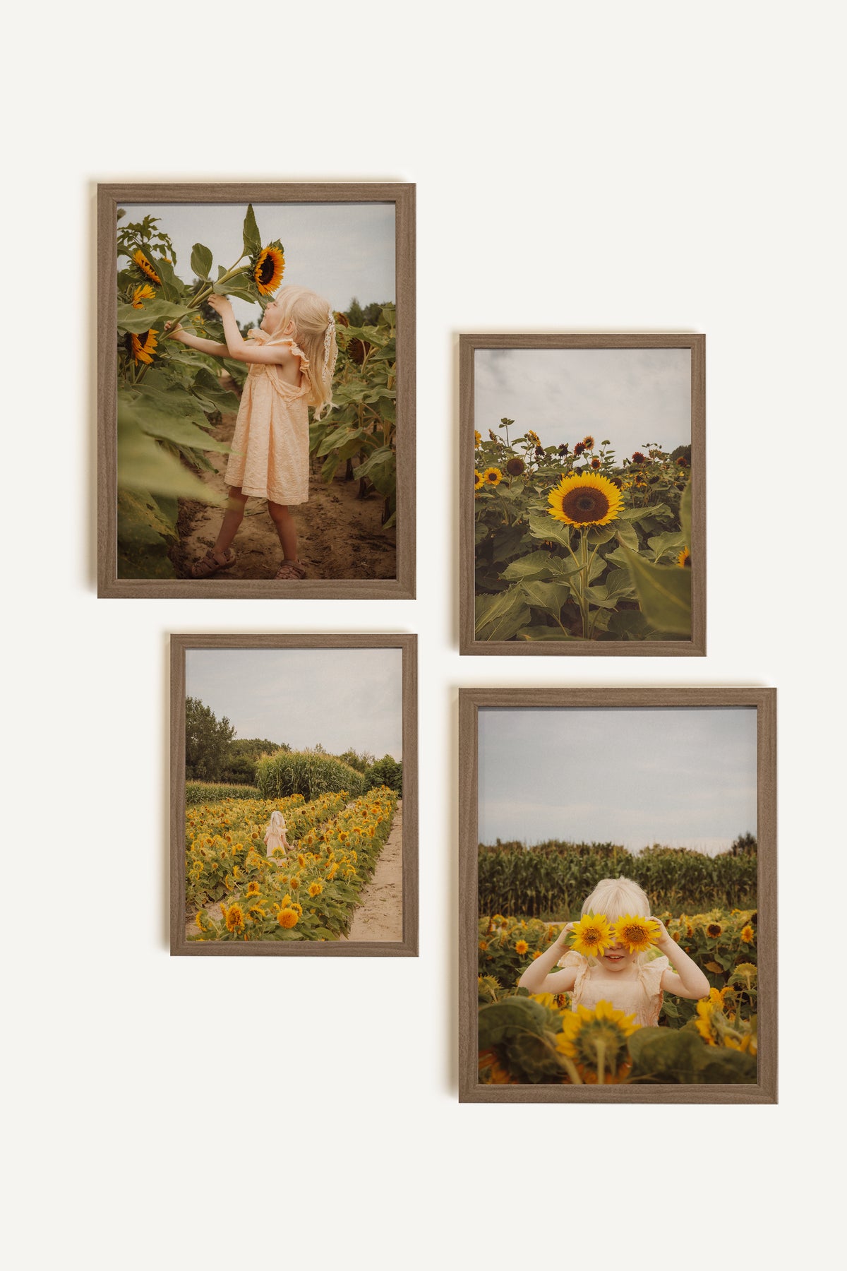 Ensemble de 4 toiles rigides personnalisées