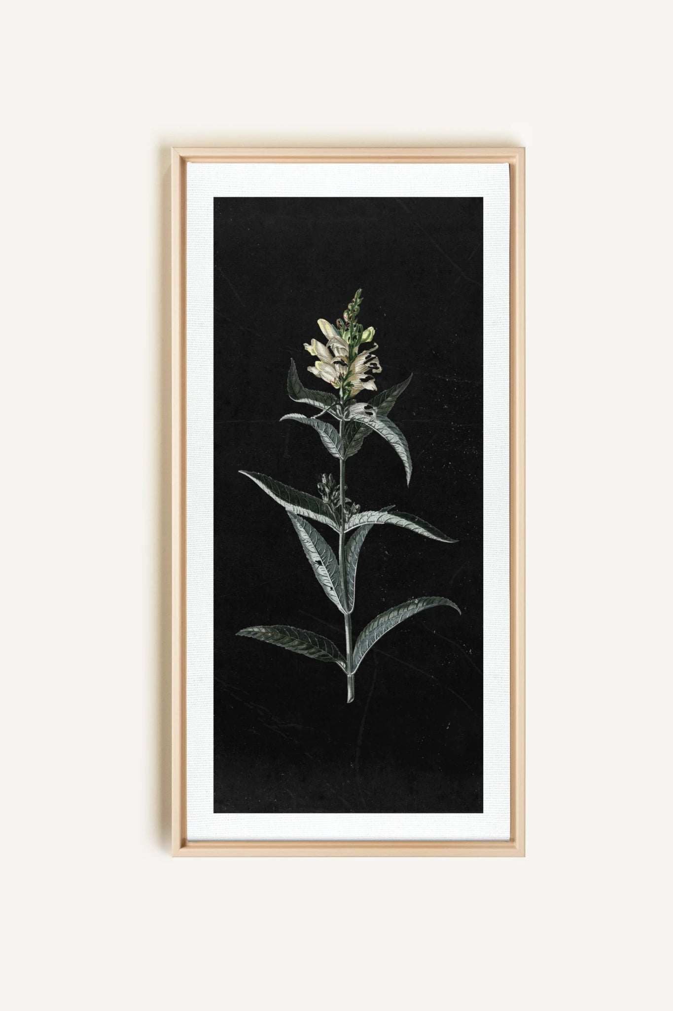GUARDIAN BLOOM, Work on stretched canvas, framed Naturel Clair