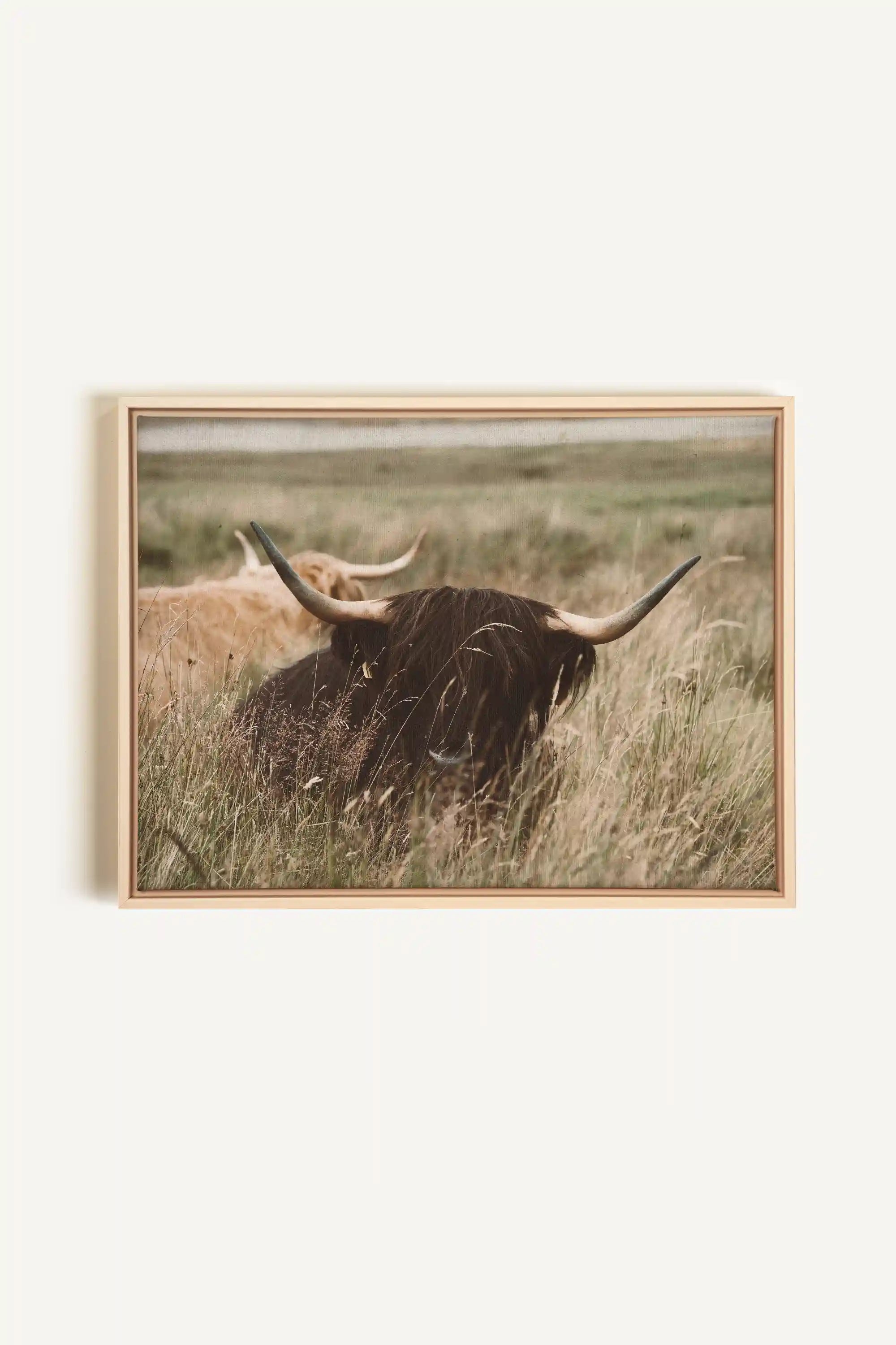 HIGHLAND SPIRIT, Artwork on stretched canvas, framed Natural Light