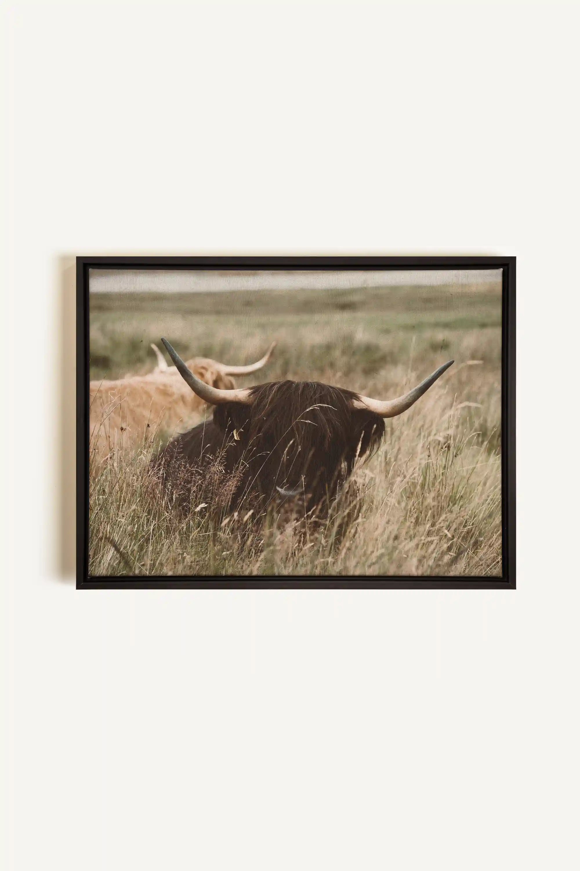 HIGHLAND SPIRIT, Artwork on stretched canvas, framed in black