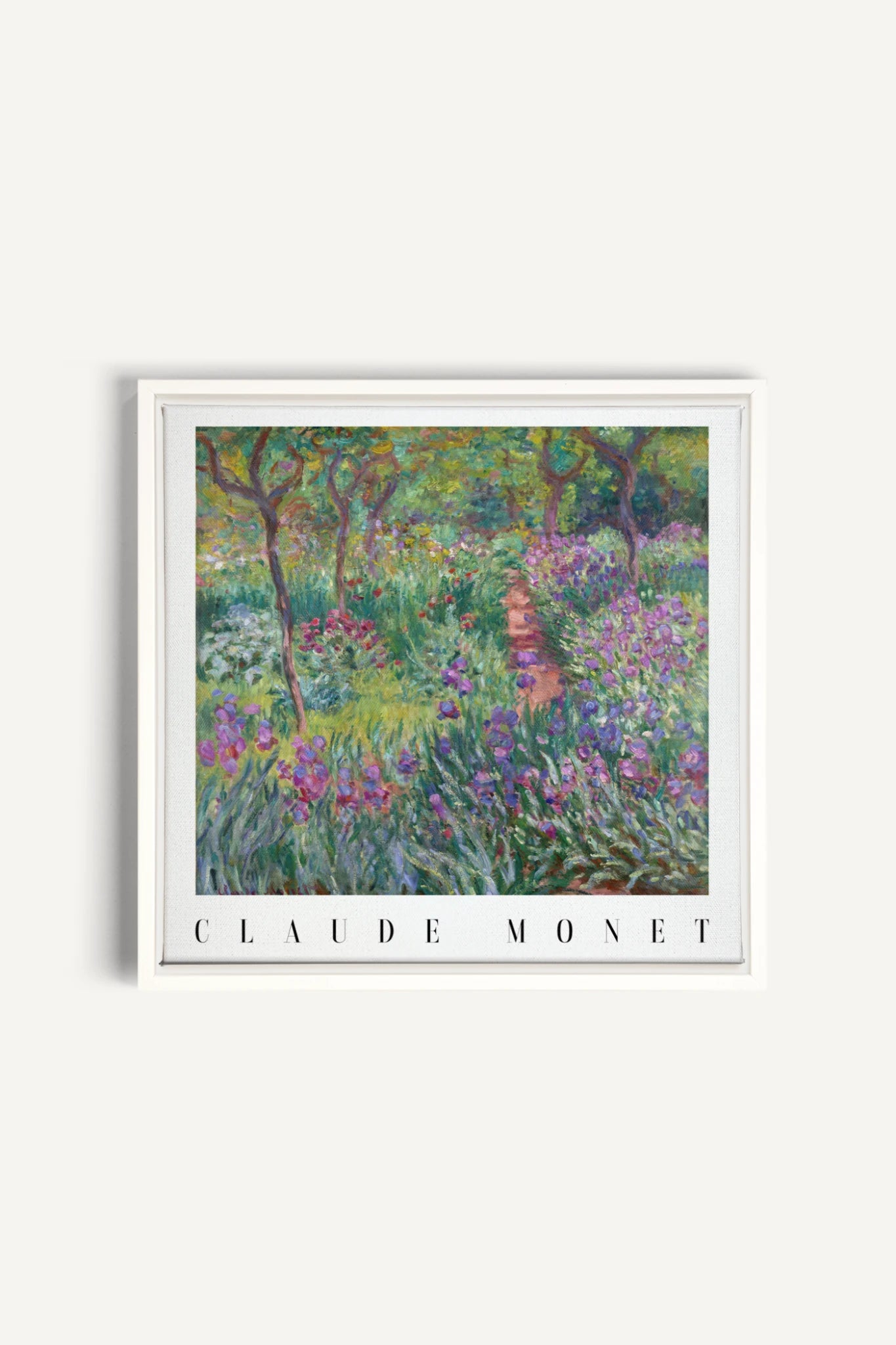 IRIS PATH, Work on stretched canvas, framed White