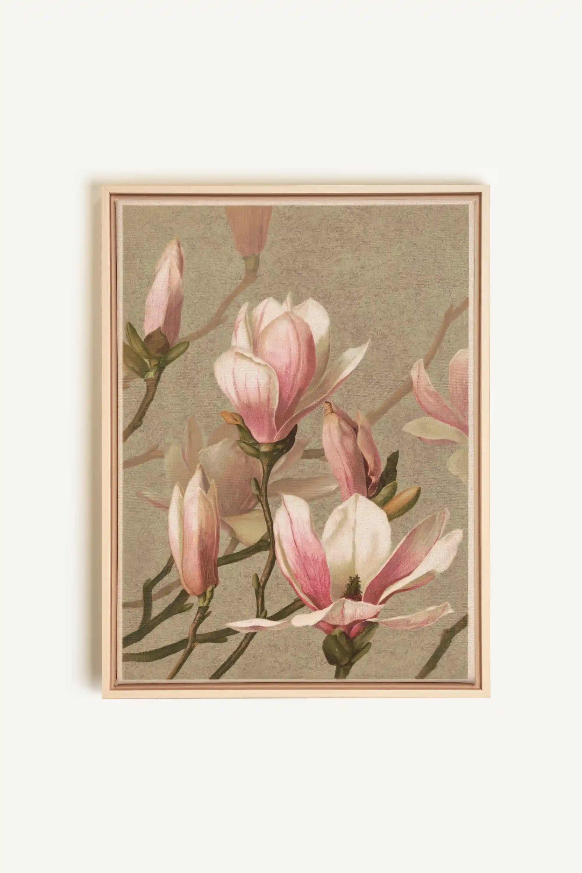 MAGNOLIA WHISPER, Artwork on stretched canvas, framed Natural Light