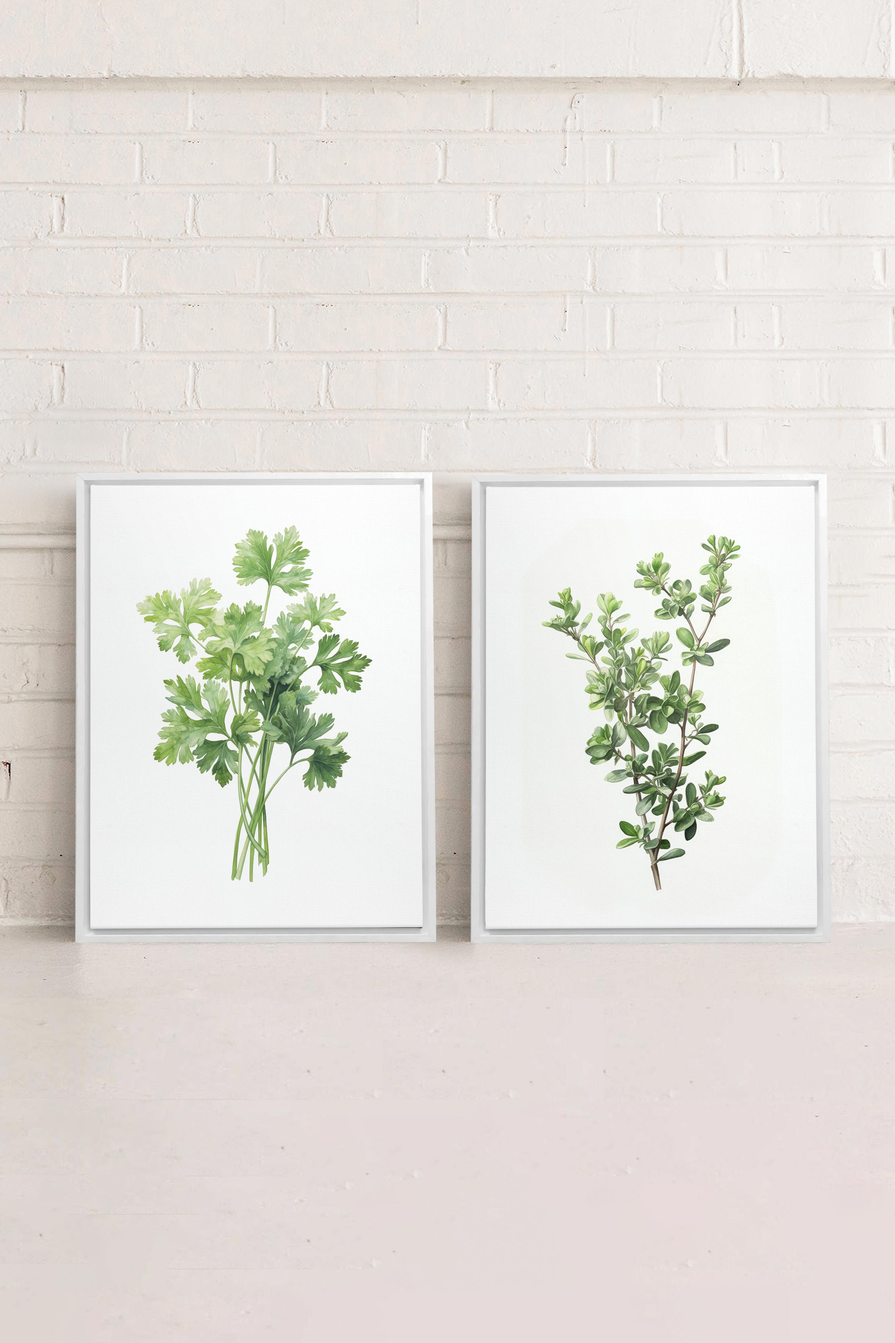OLEKA CANVAS - DUO FINES HERBES, 2 Oeuvres sur toile étirée, encadré Blanc
