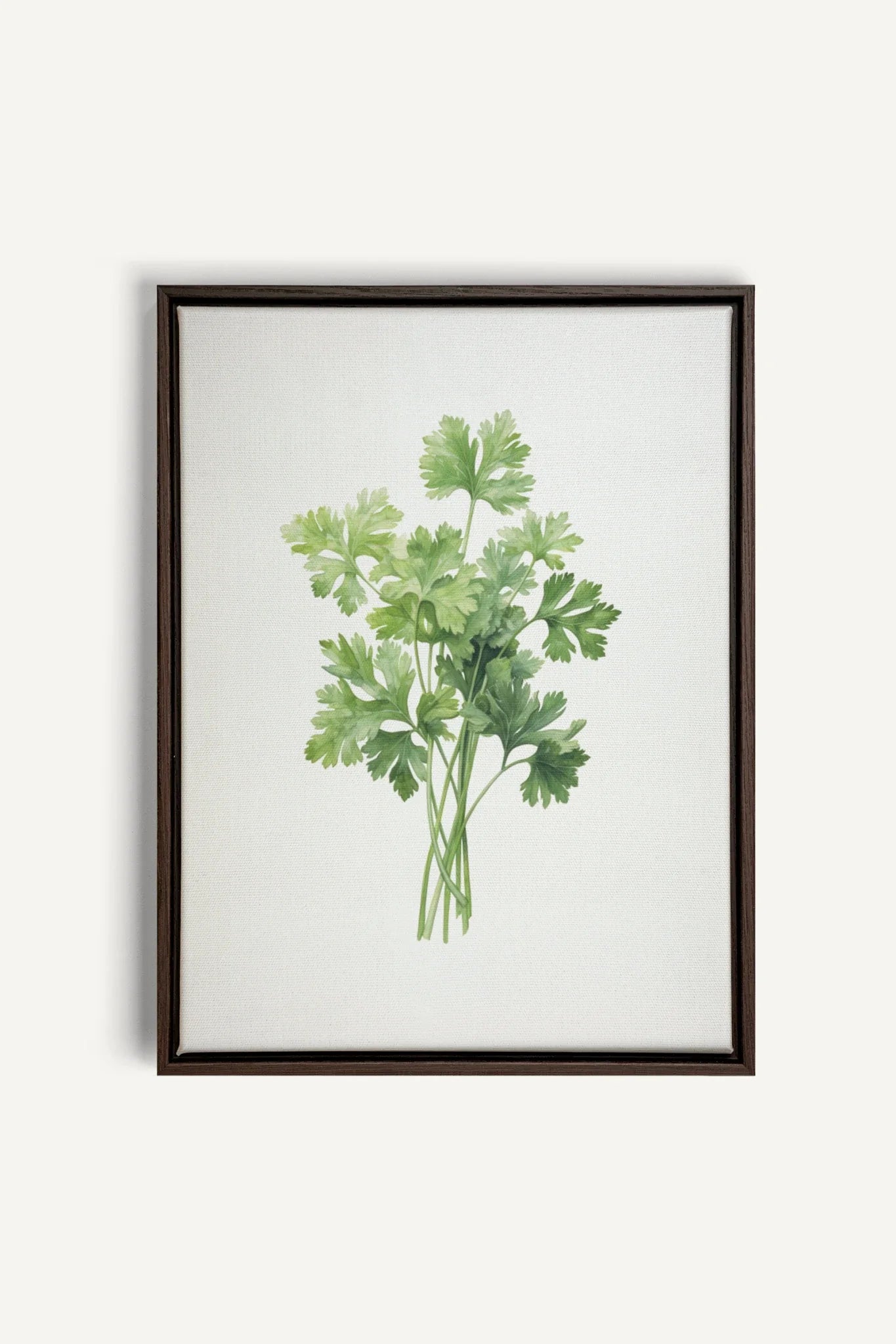 OLEKA CANVAS - CILANTRO, Oeuvre sur toile étirée, encadré Brun Noyer