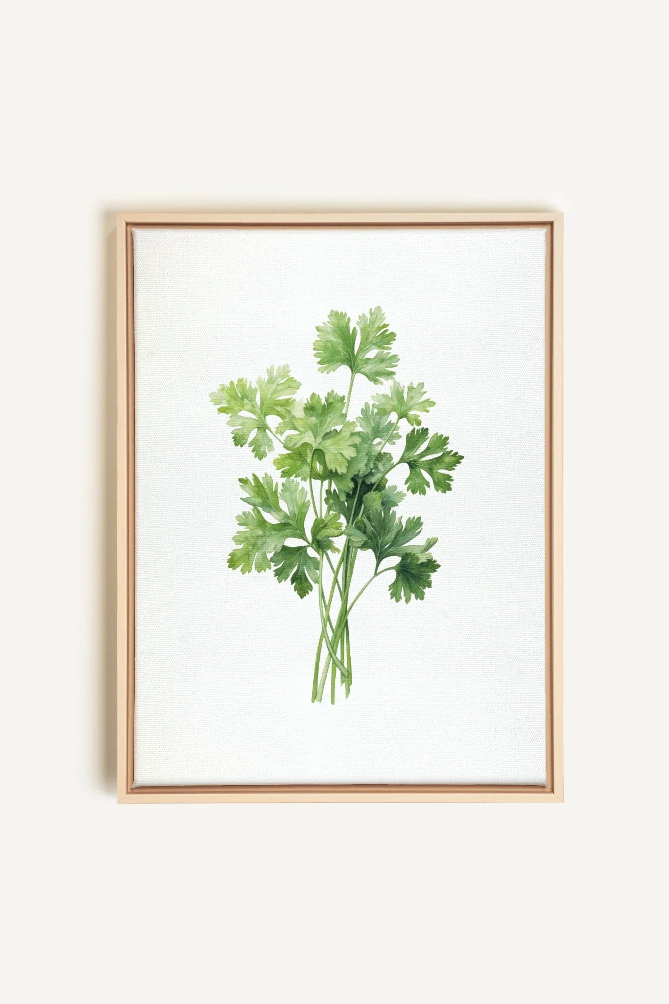 OLEKA CANVAS - CILANTRO, Oeuvre sur toile étirée, encadré Naturel Clair