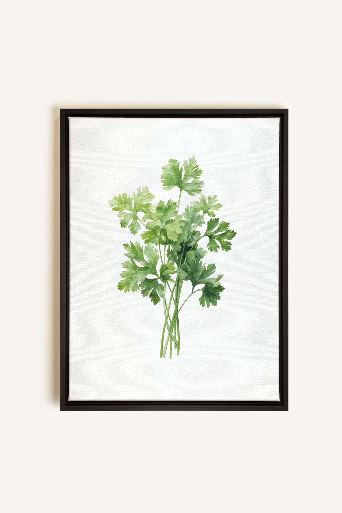 OLEKA CANVAS - CILANTRO, Oeuvre sur toile étirée, encadré Noir
