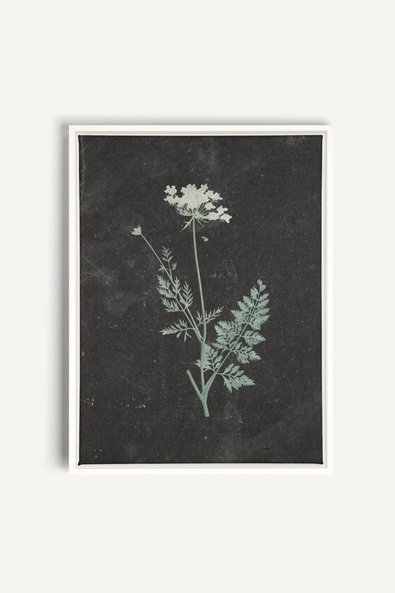 DENTELLE SAUVAGE, Work on stretched canvas, framed White