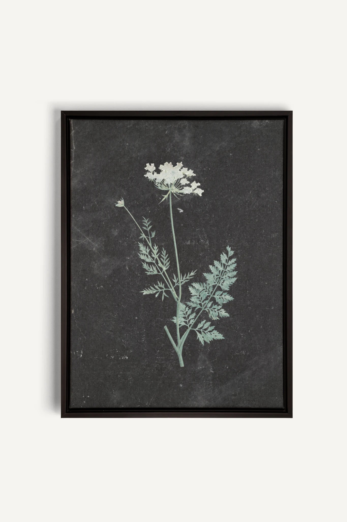 DENTELLE SAUVAGE, Work on stretched canvas, framed Black