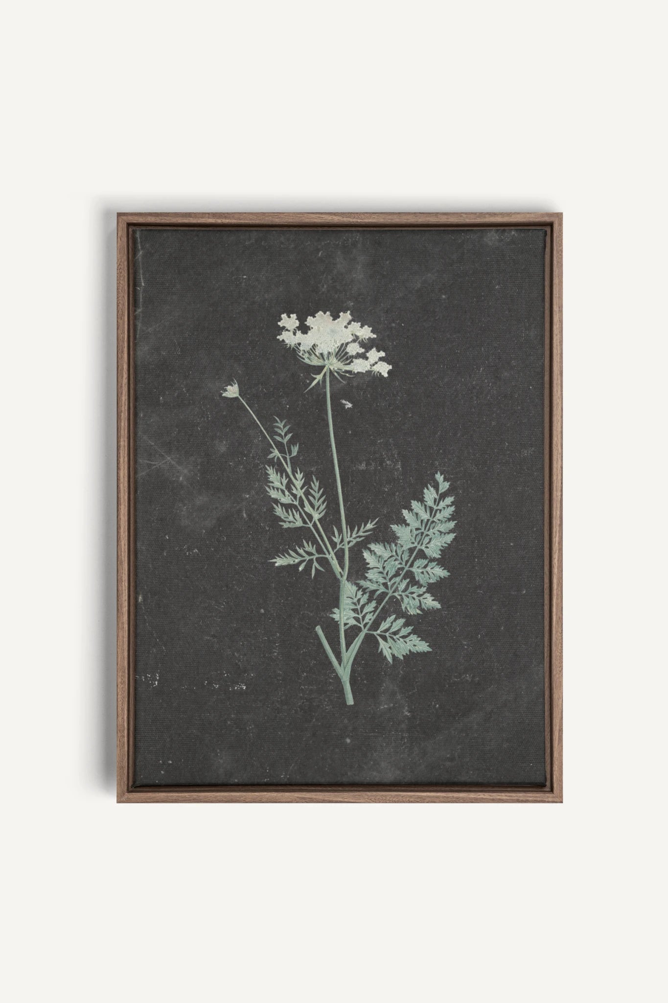 DENTELLE SAUVAGE, Work on stretched canvas, framed Oak Brown