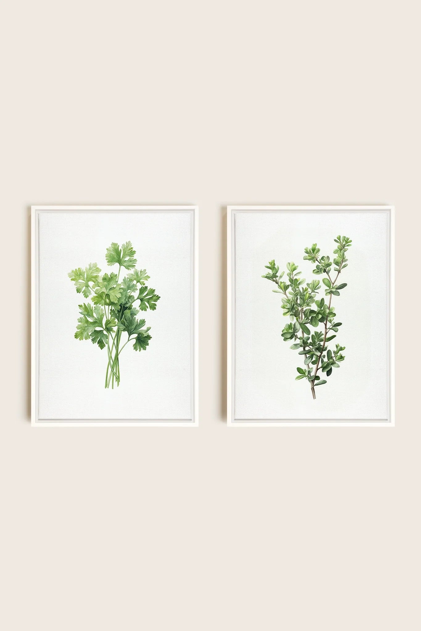 OLEKA CANVAS - DUO FINES HERBES, 2 Oeuvres sur toile étirée, encadré Blanc