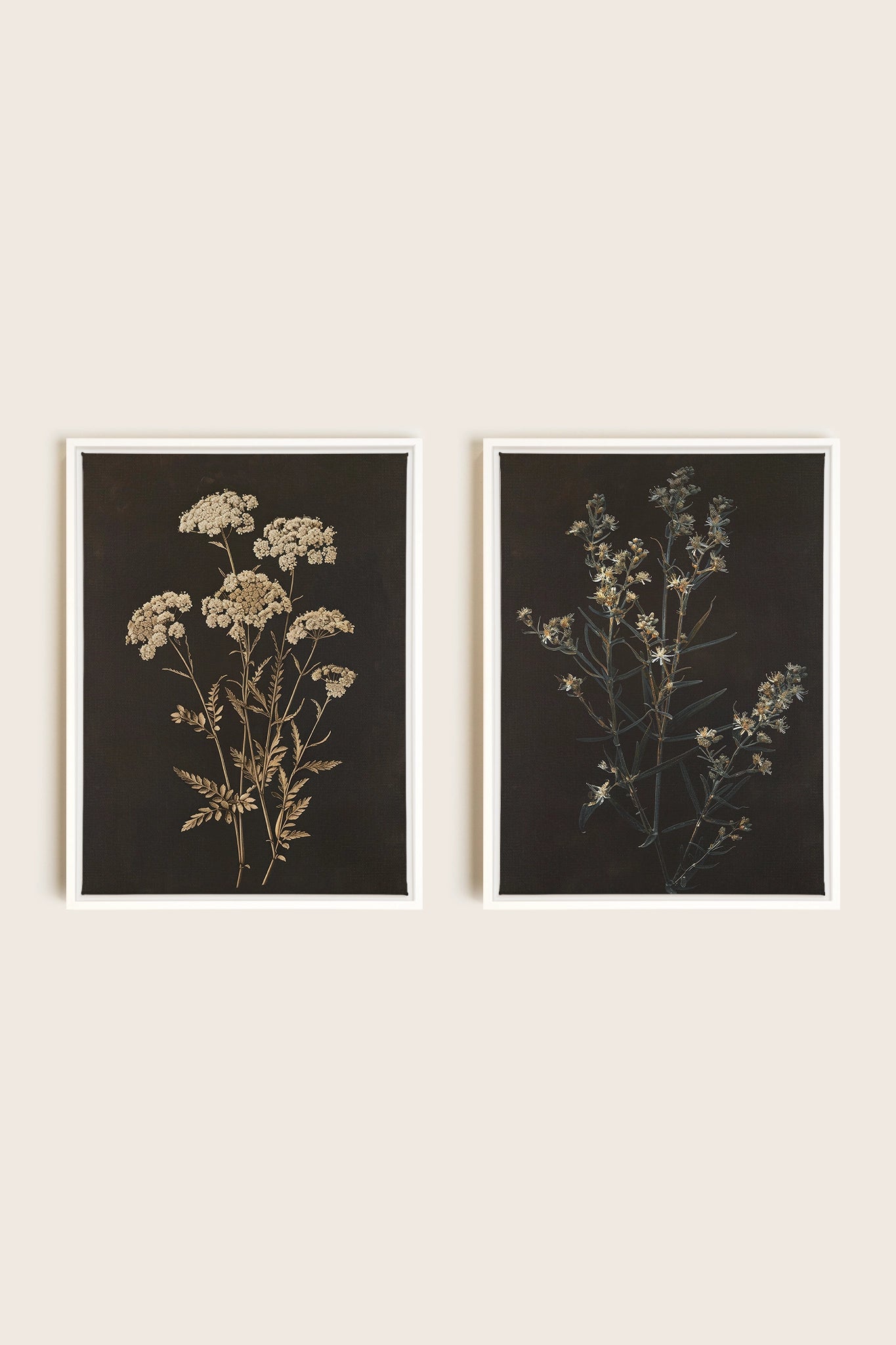 DUO FLEURS PRÉCIEUSES, 2 Oeuvres sur toile étirée, encadré Blanc