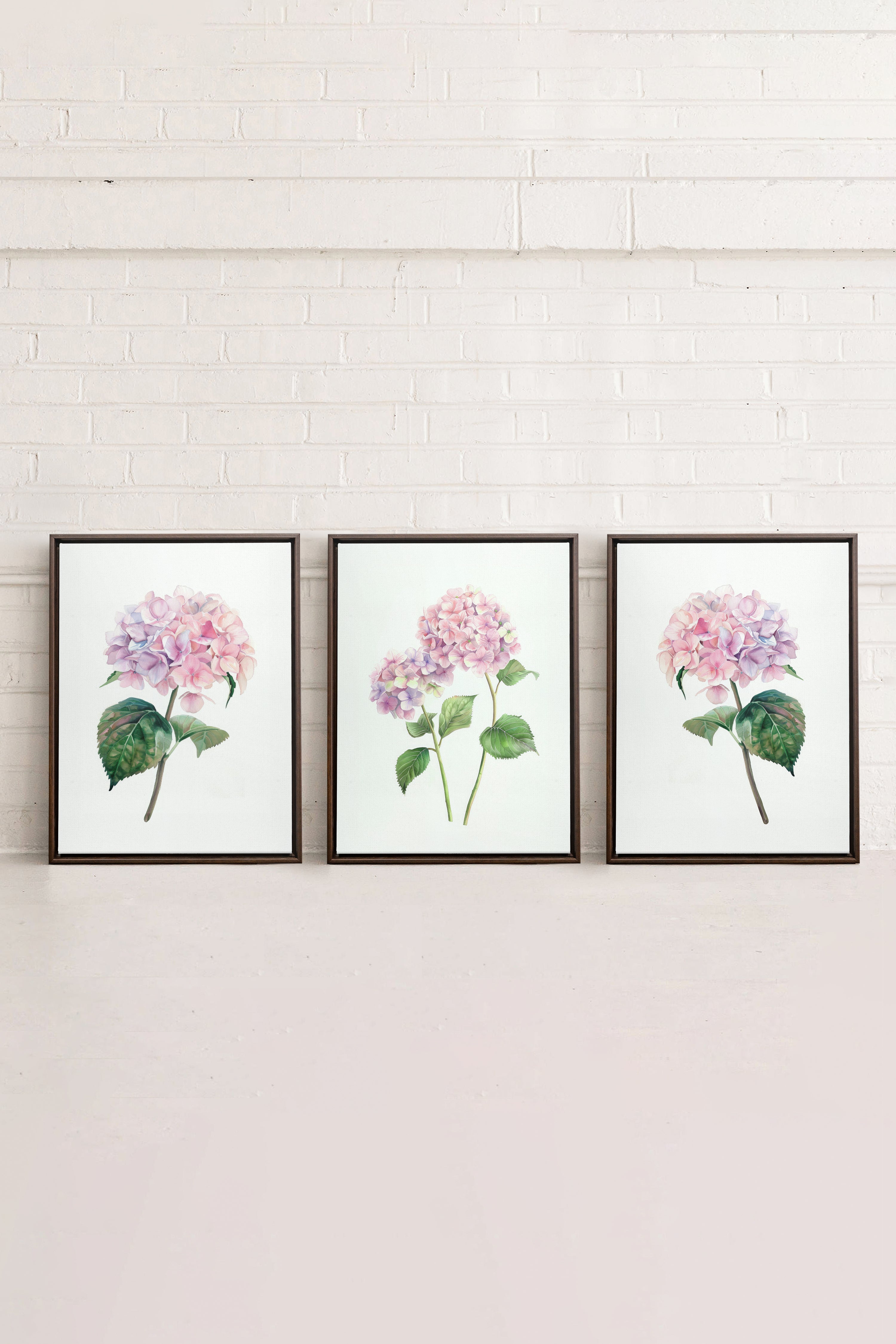BLOSSOMING TRIO, 3 Artworks on stretched canvas, framed in Walnut Brown