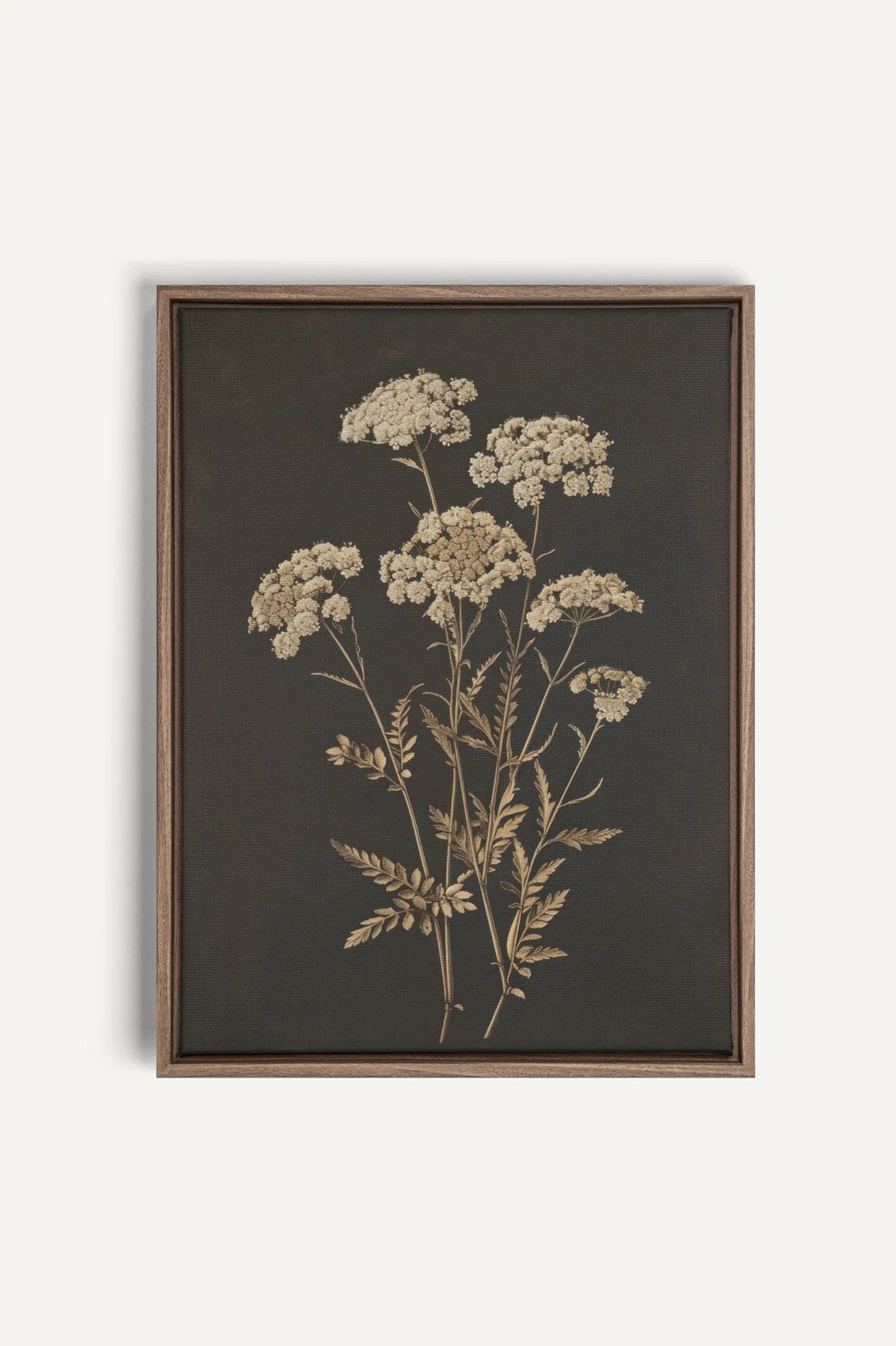 OLEKA CANVAS - FLEUR D&