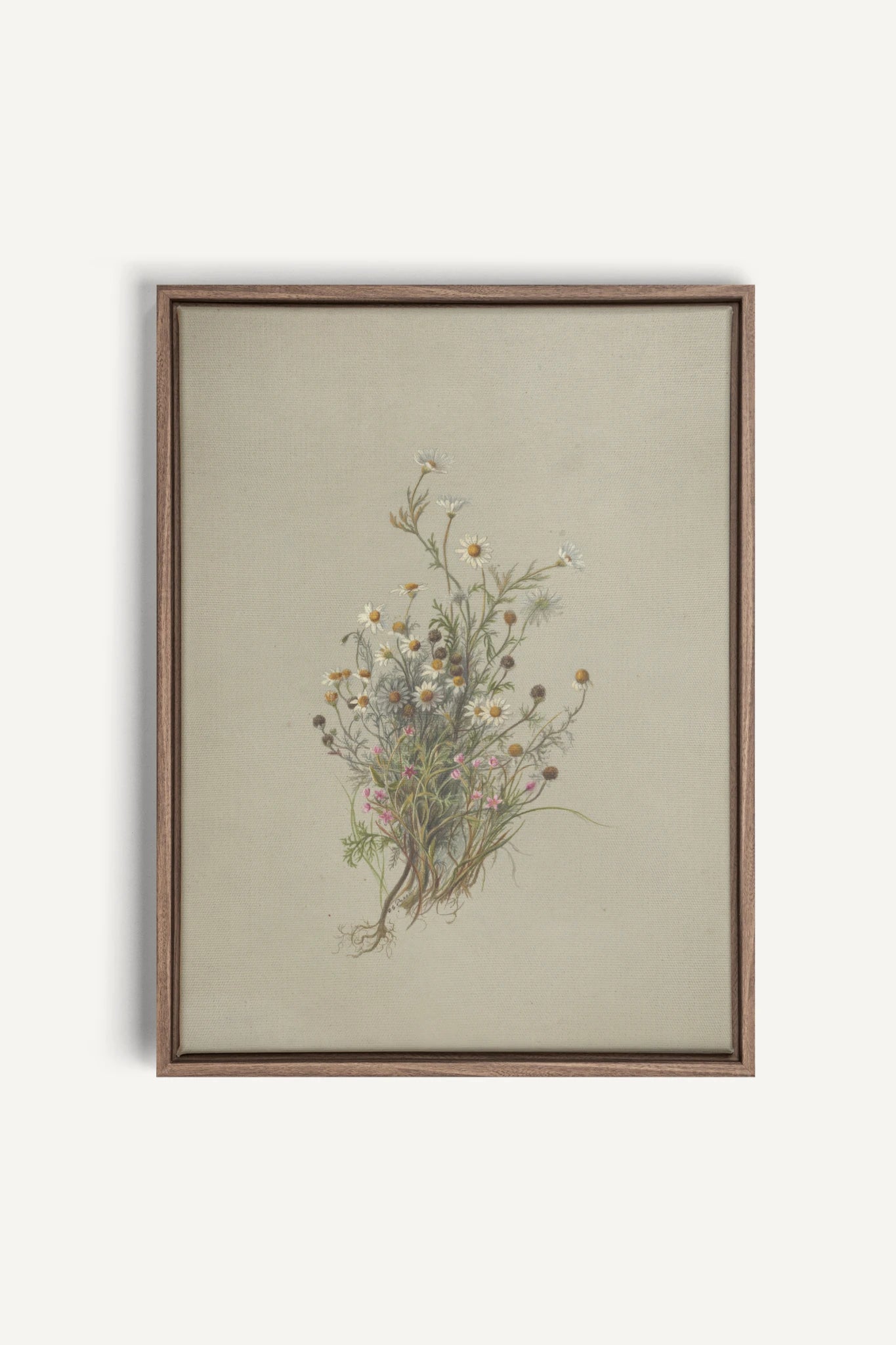 FLEURS DES PRÉS, Oeuvre sur toile étirée, encadré Brun Chêne