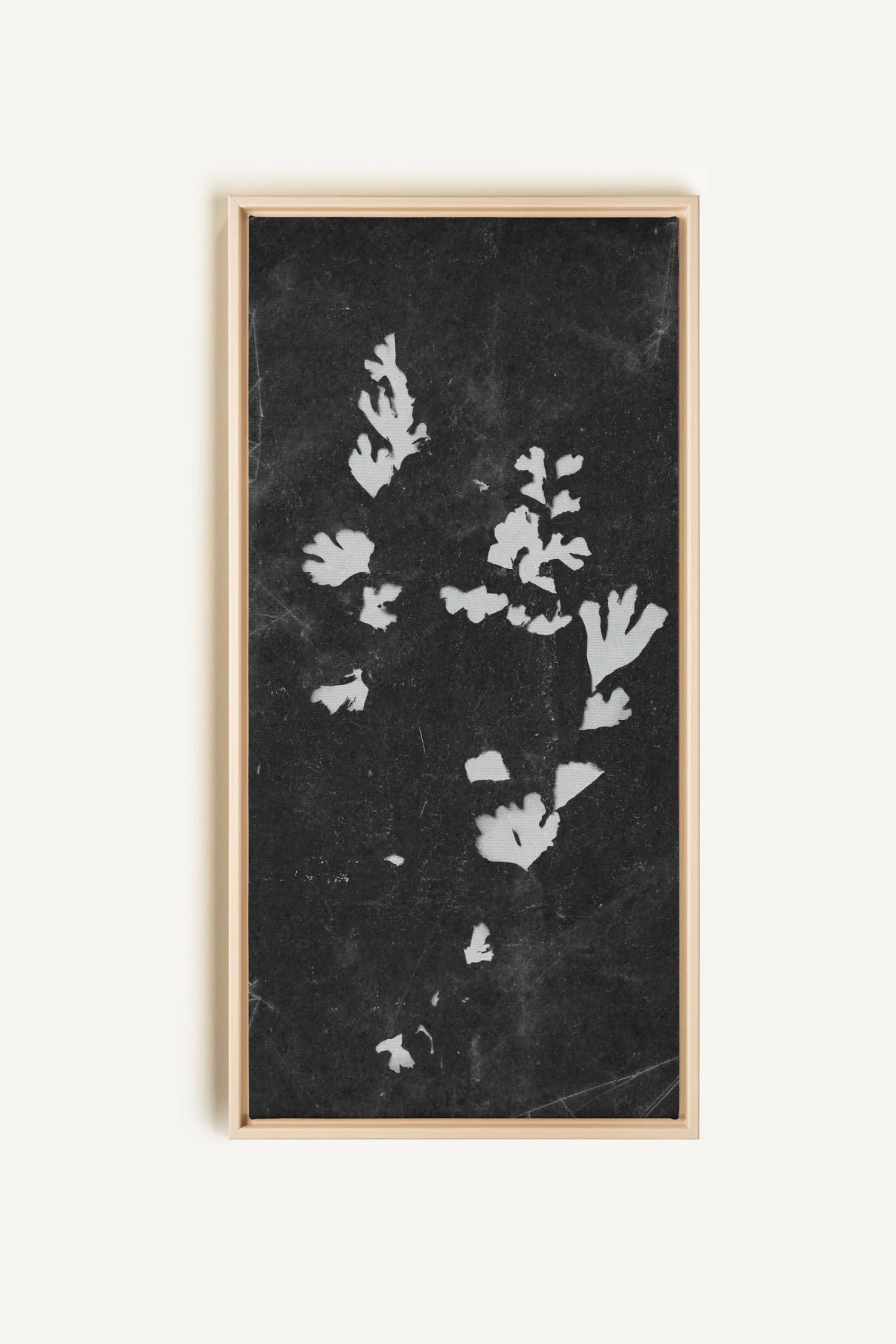 GHOST LEAVES, Oeuvre sur toile étirée, encadré Naturel Clair
