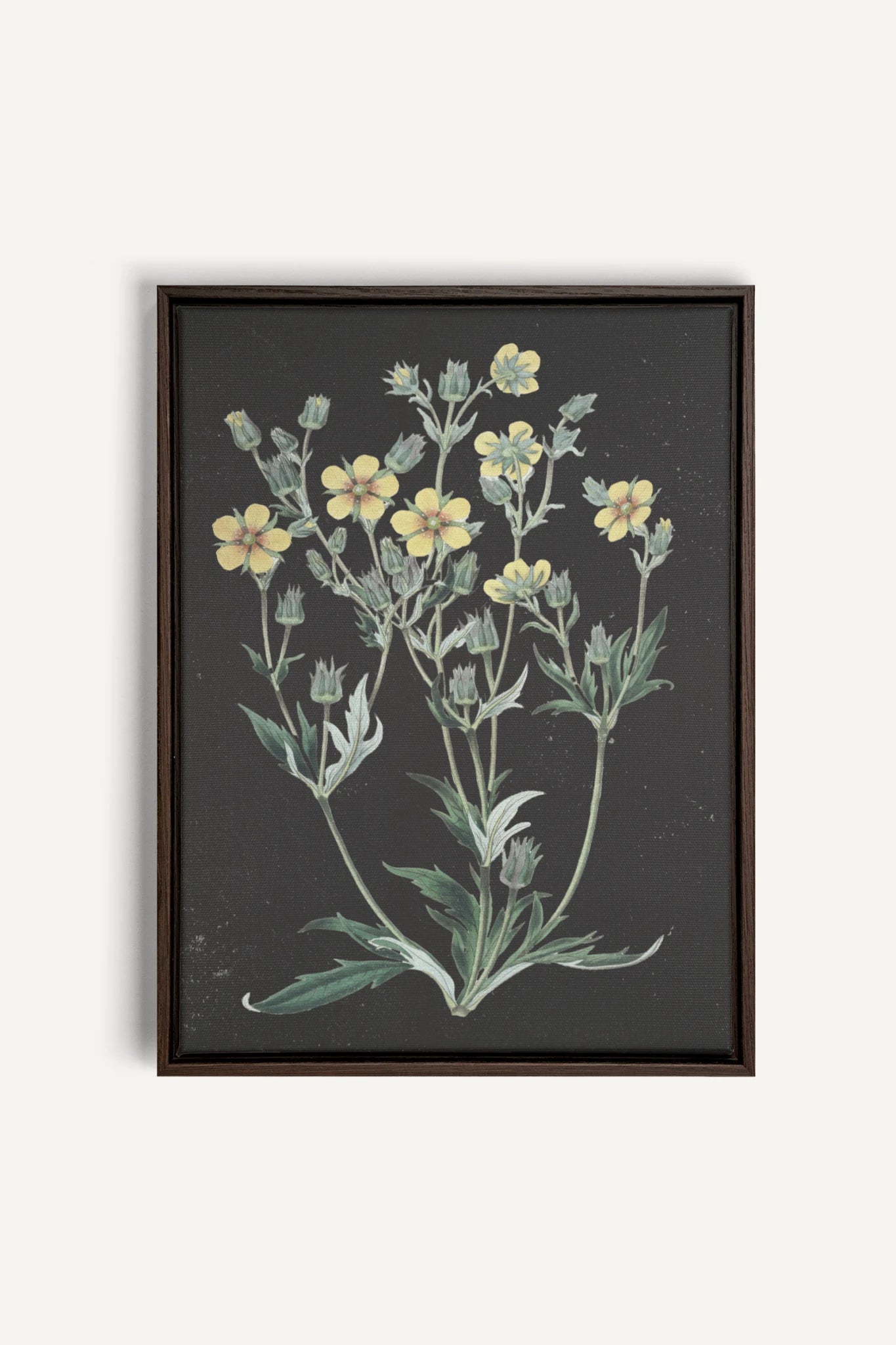 GOLDEN STILLNESS, Oeuvre sur toile étirée, encadré Brun Noyer