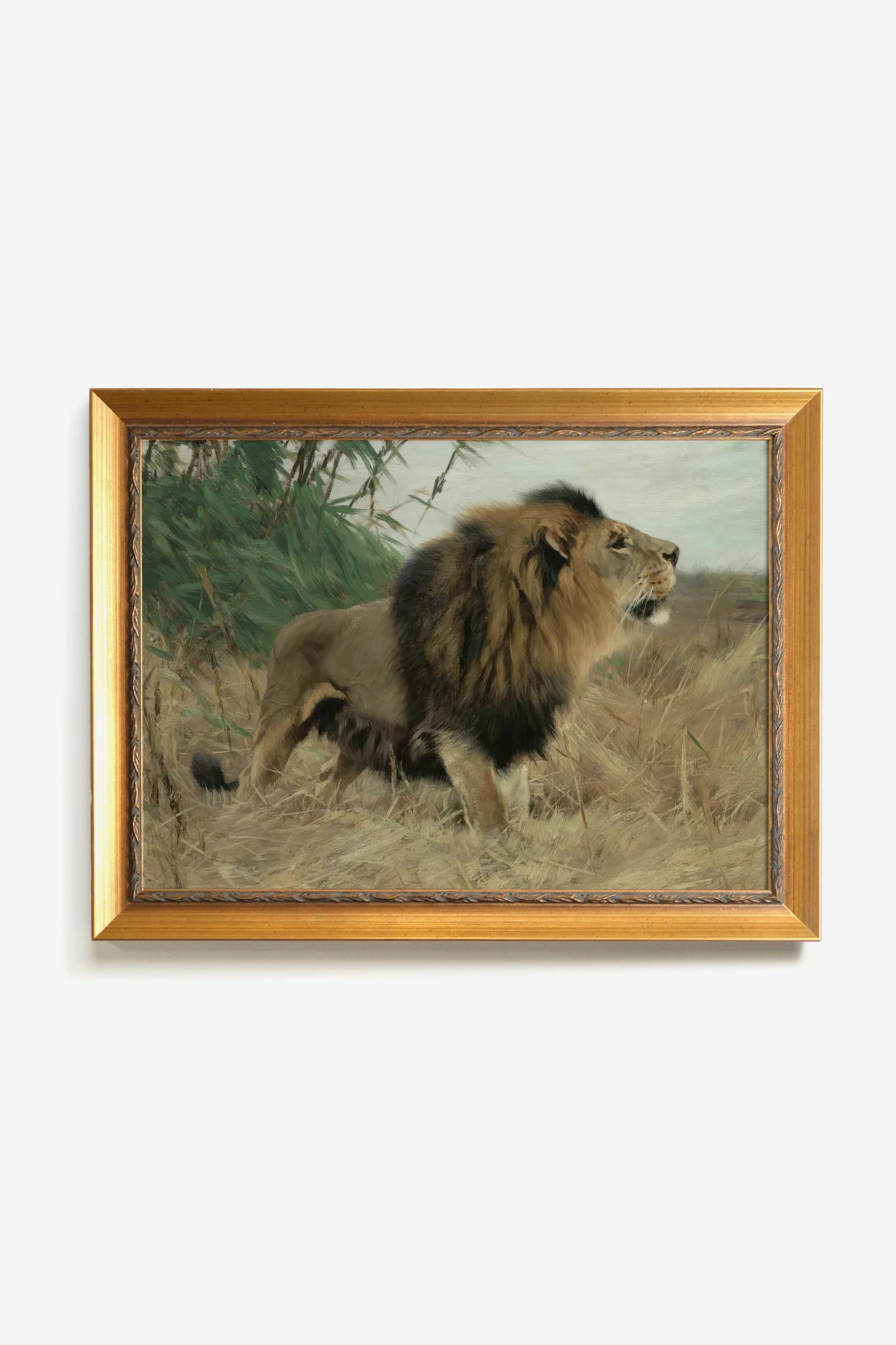 MAJESTÉ SAUVAGE, Artwork on rigid canvas, framed in Vintage Gold