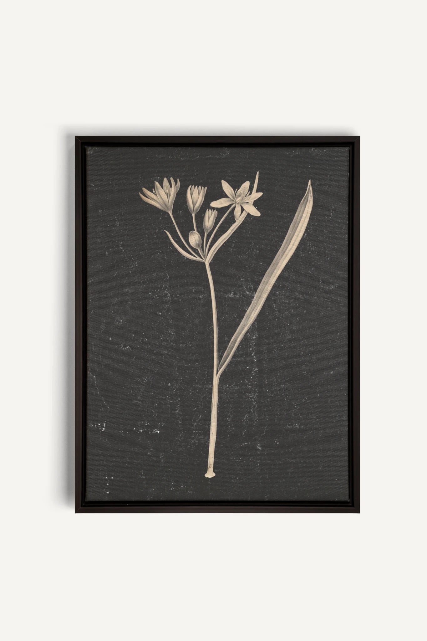 MINIMAL FLORA, Work on stretched canvas, framed Black