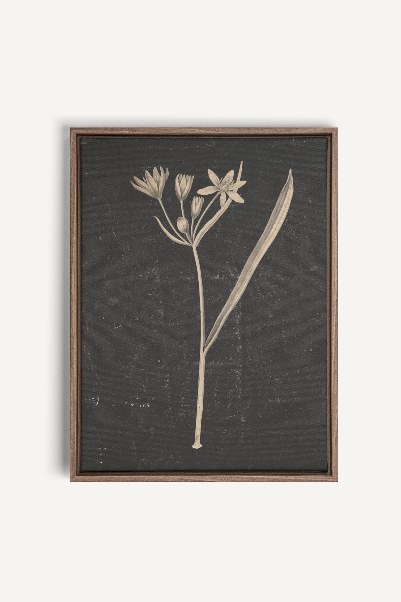 MINIMAL FLORA, Work on stretched canvas, framed Oak Brown